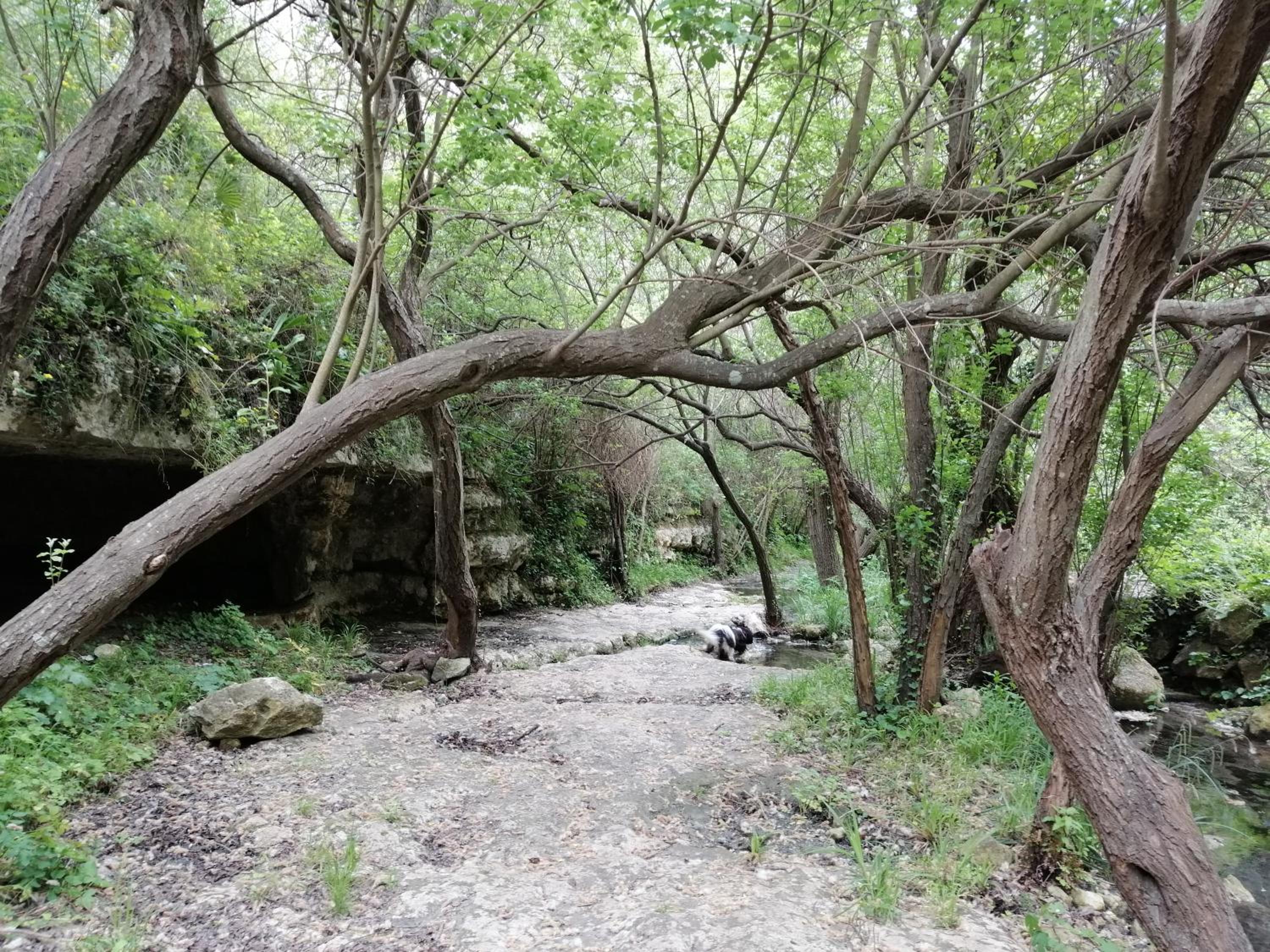 Photo 21