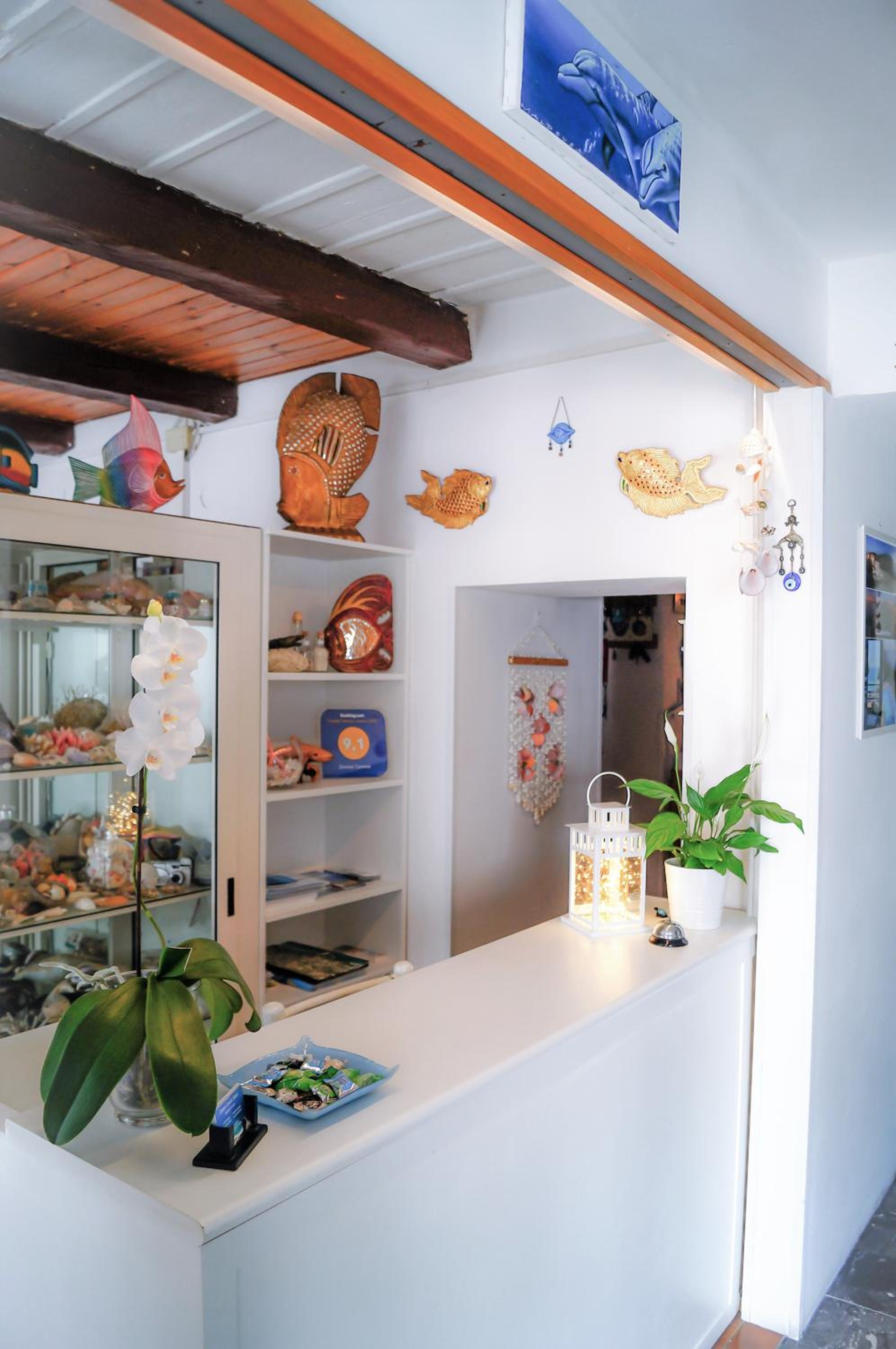Zimmer Camere photo 4