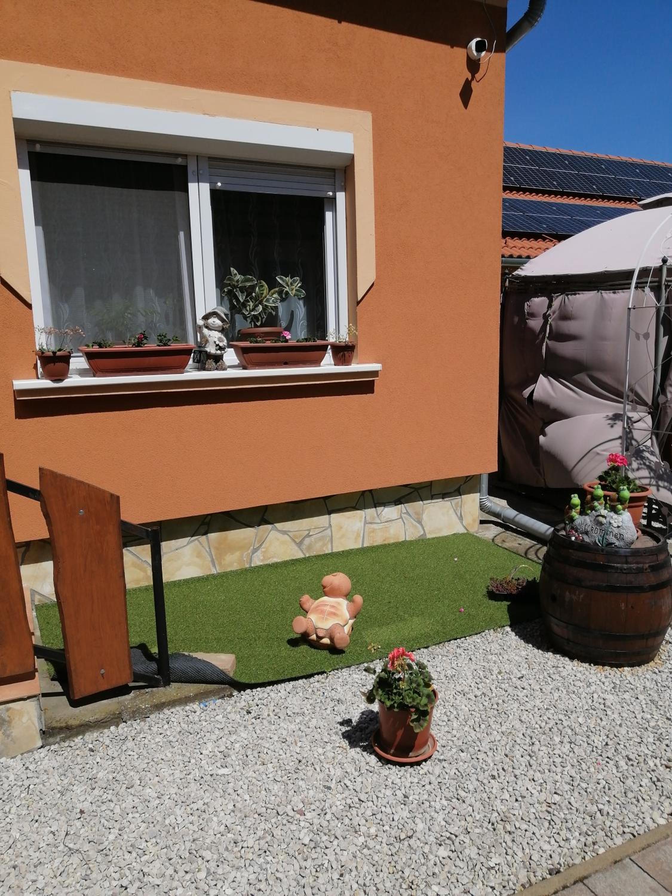 Photo 24