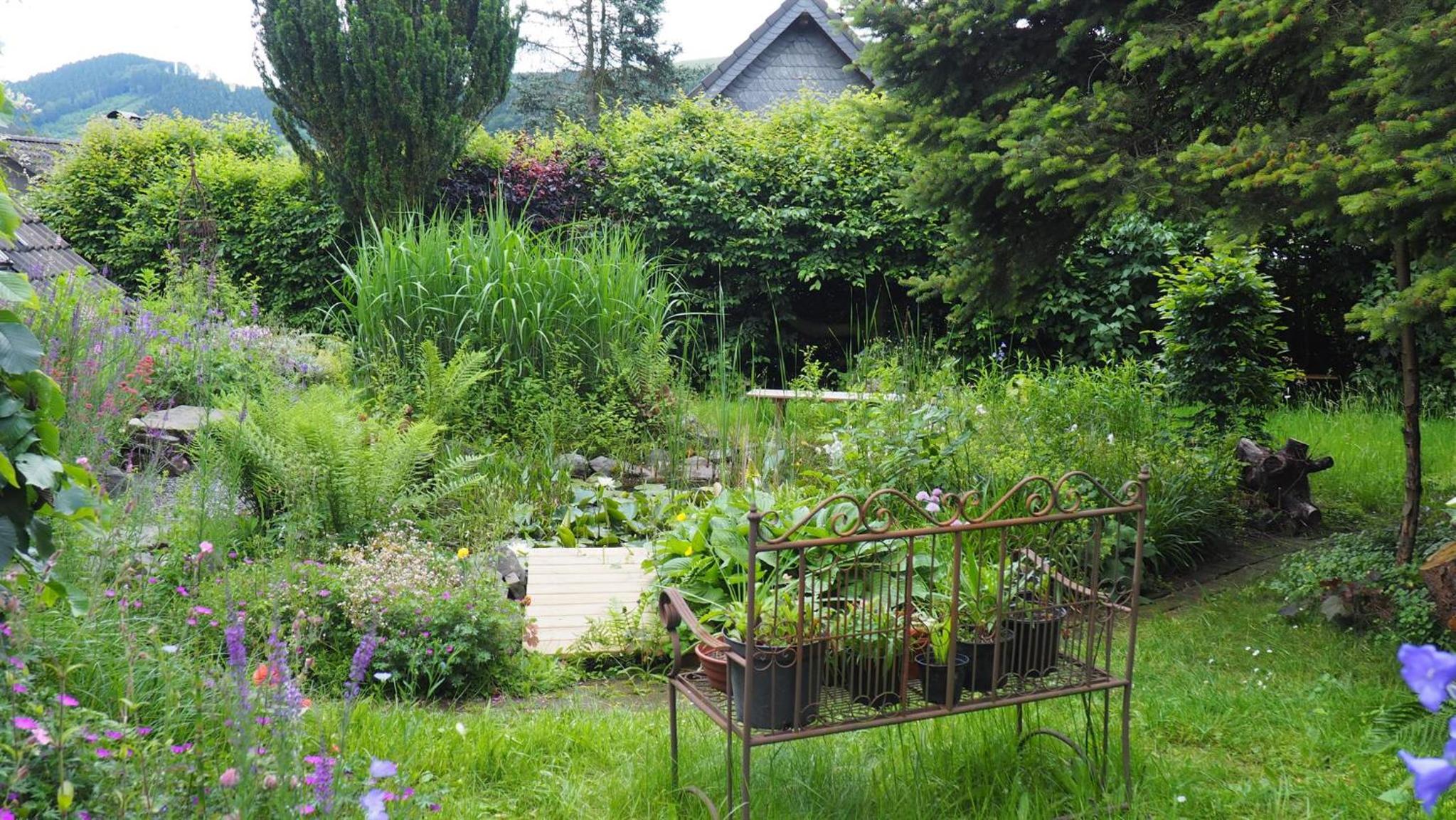 Photo 12