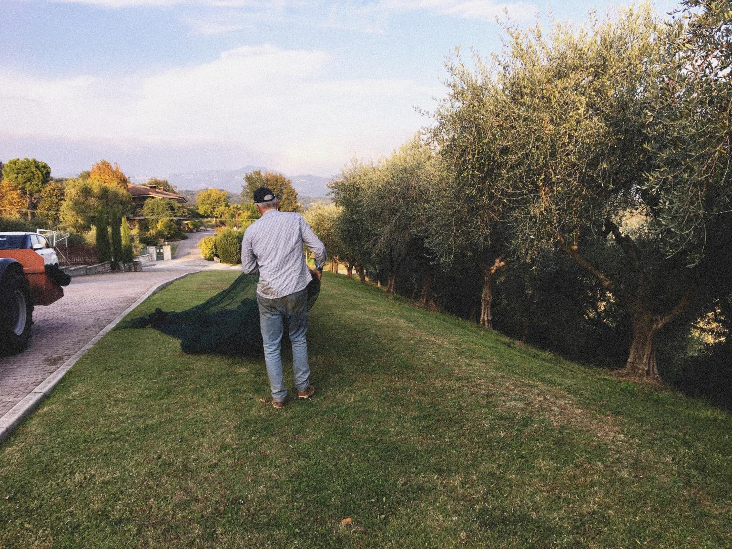 Photo 50
