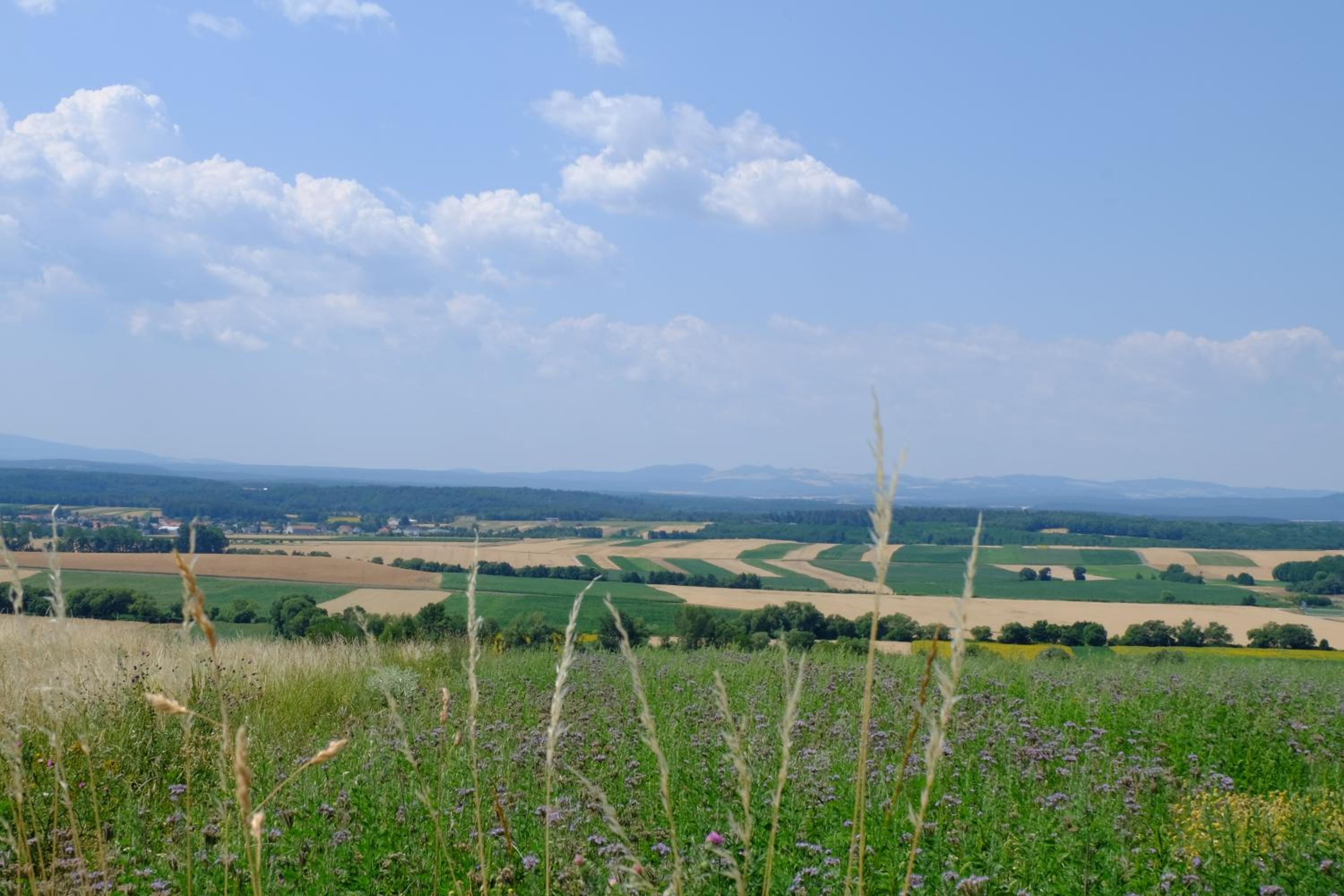 CAMPANELL - Das Ferienhaus im Blaufränkischland