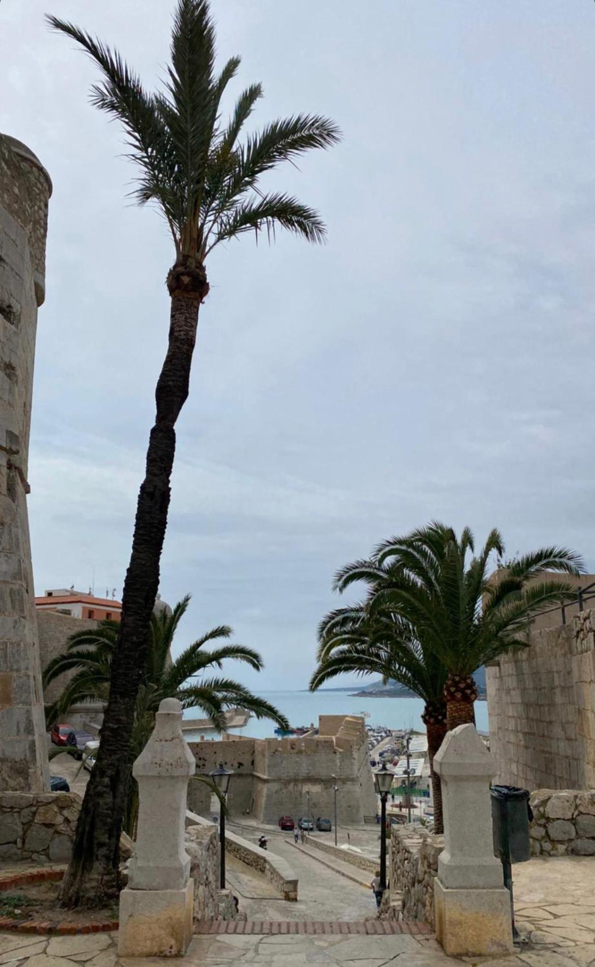 Apartamento Solmar