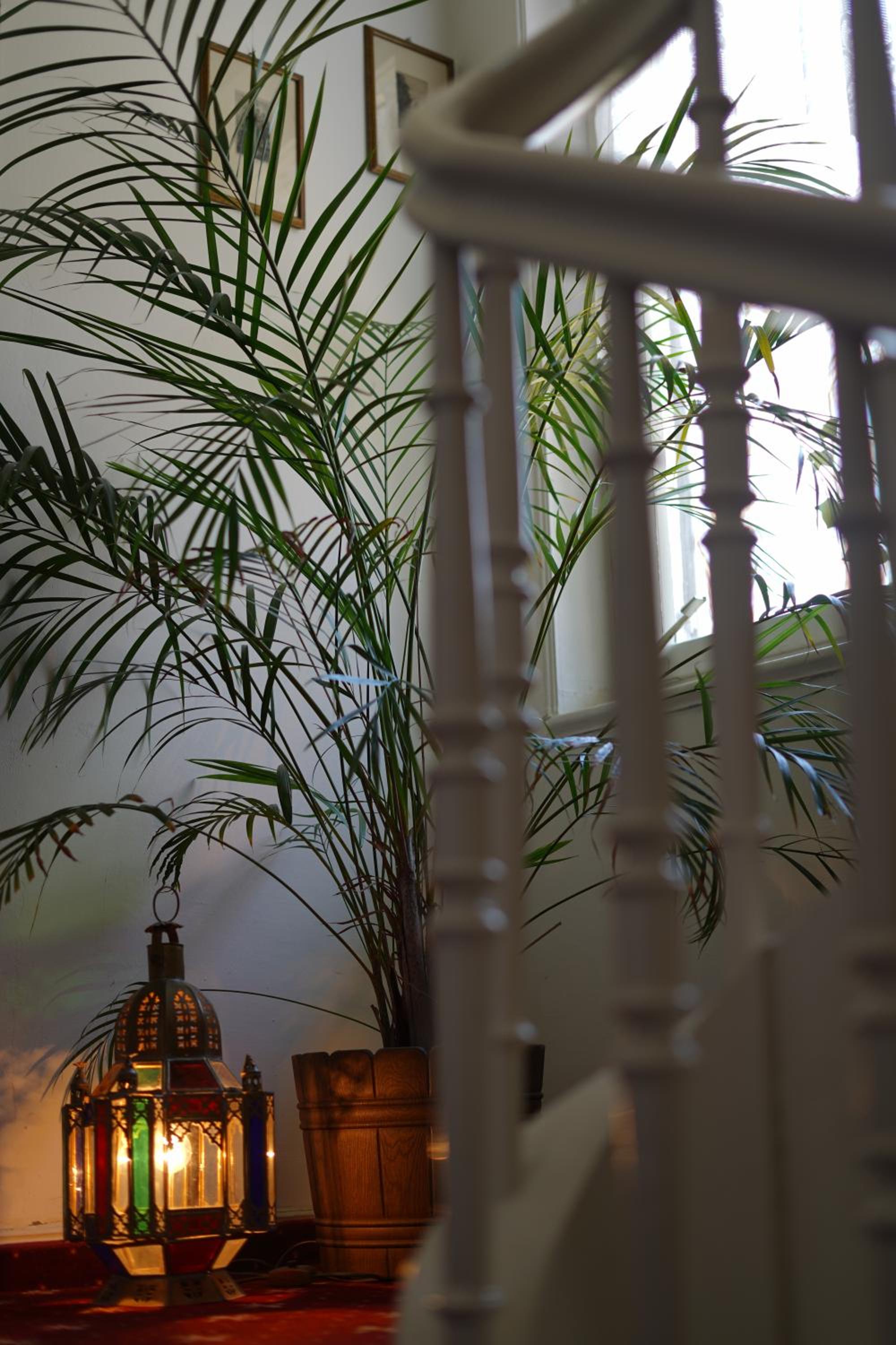 Romantic-Pension Albrecht - Villa next to UNESCO World Heritage - since 1901
