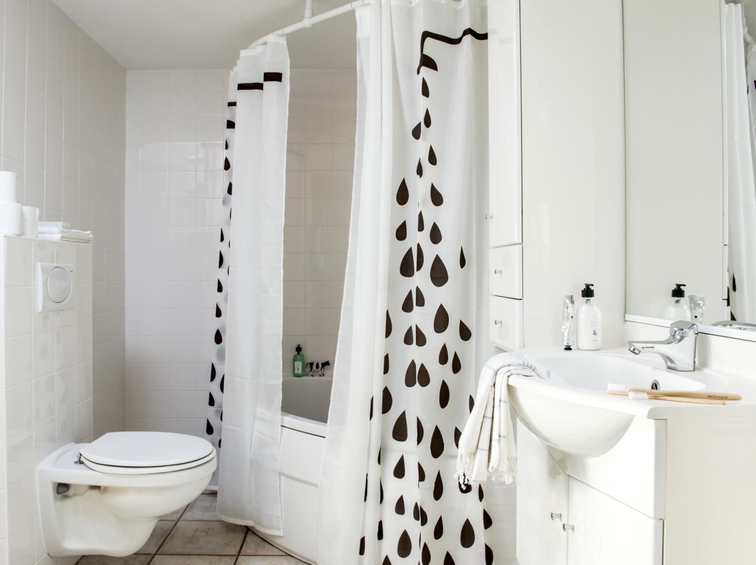 12 persoons accommodatie en Loosdrecht