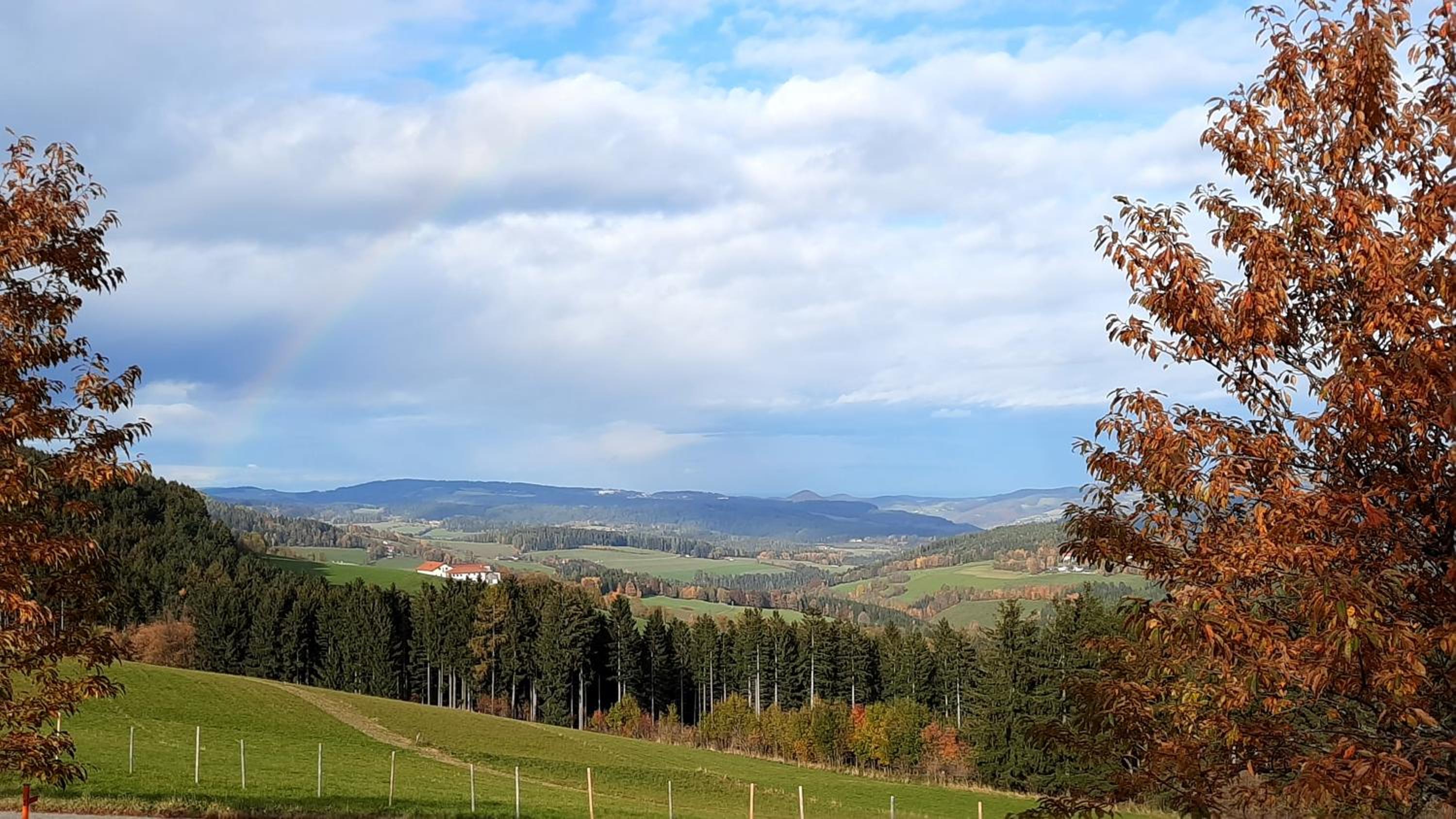 Belle Air Lodge