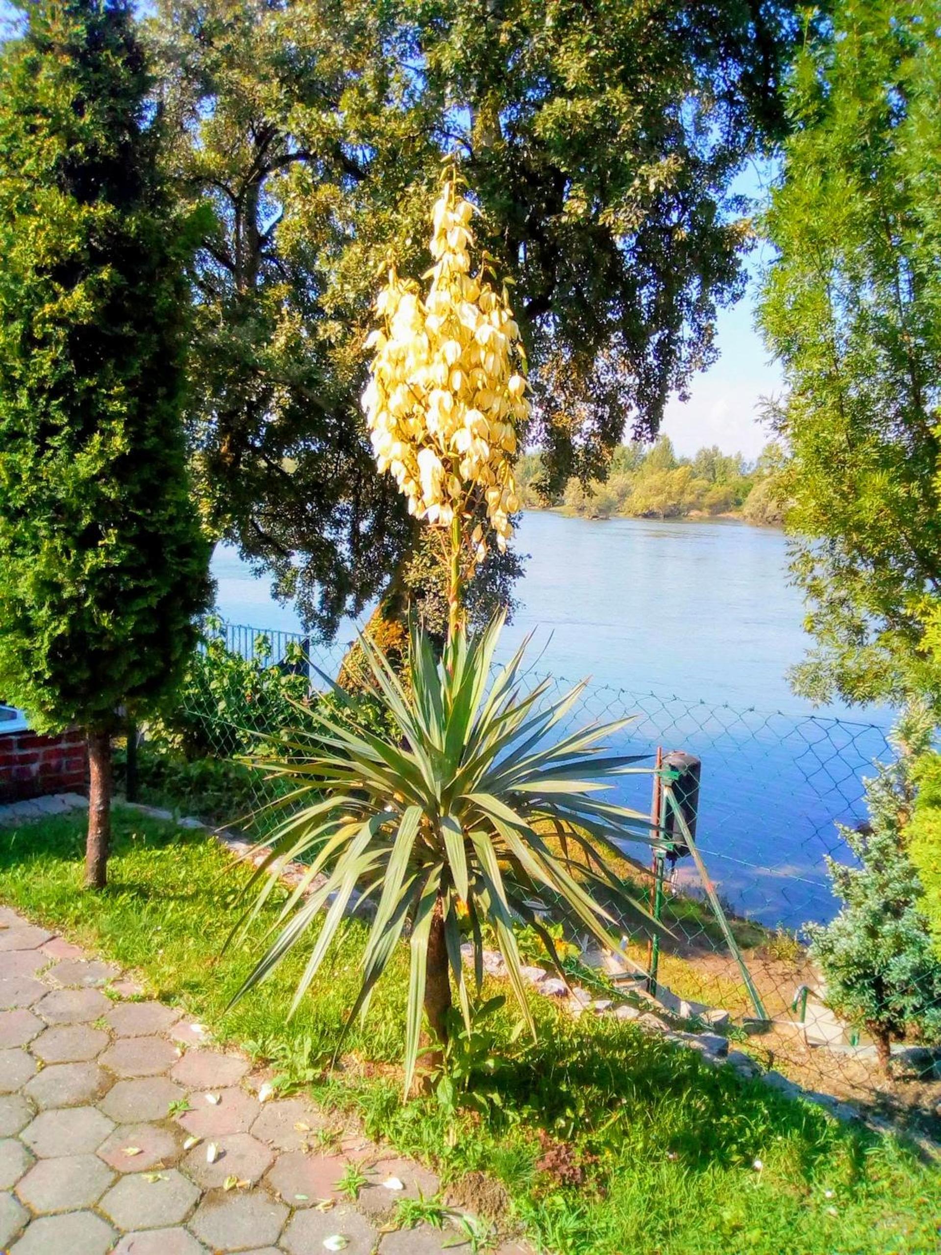 Vikendica DRINSKI DAR