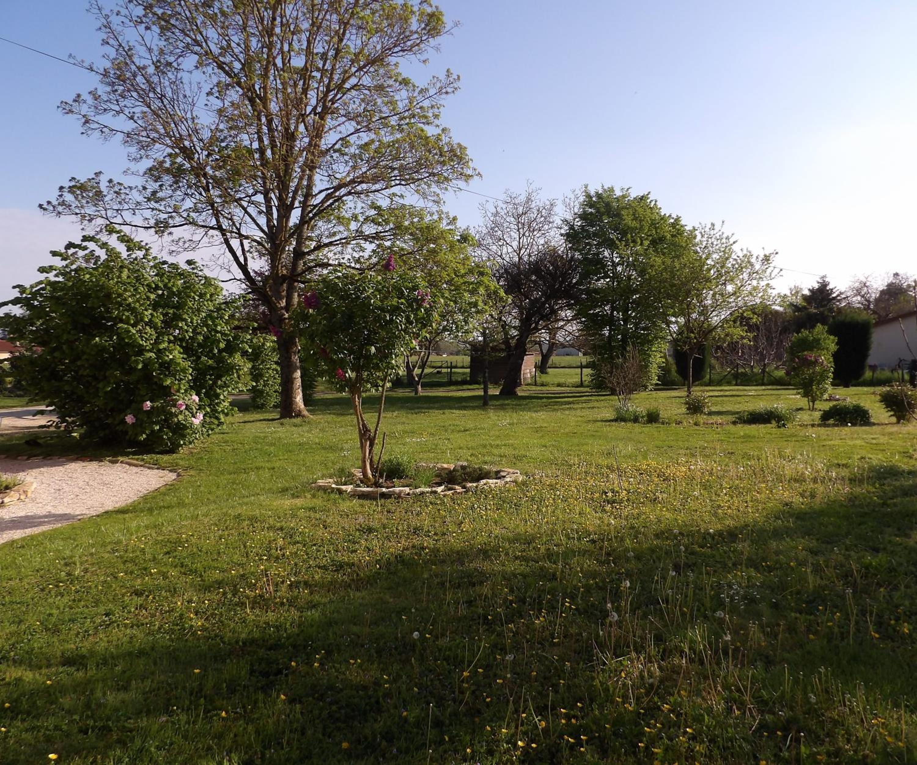 Photo 30