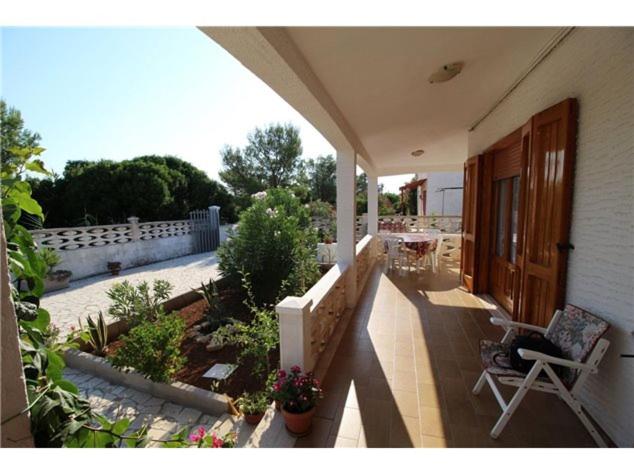 Speroni d'oro view 3