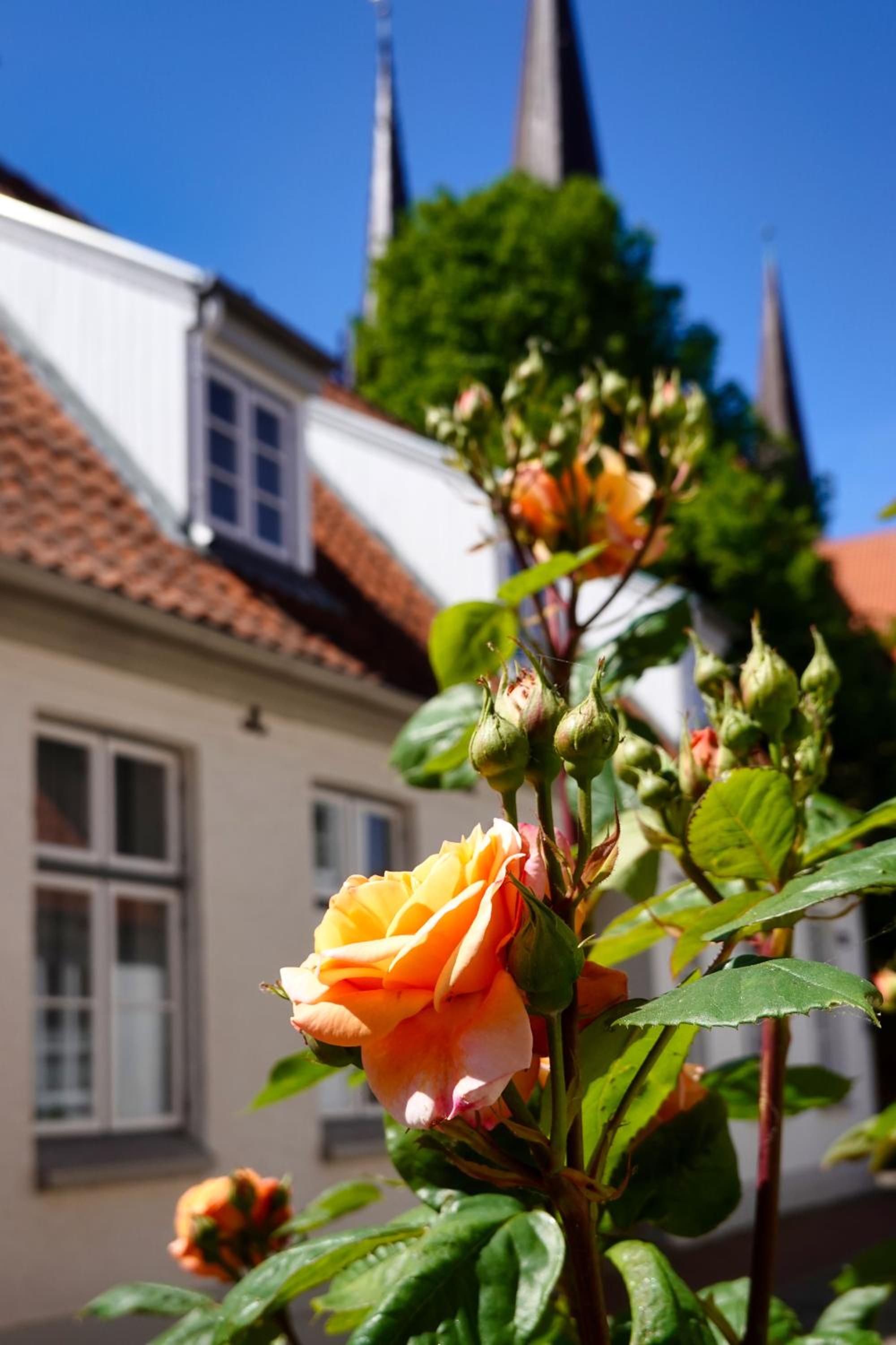 Stadthaus Rothensande view 2