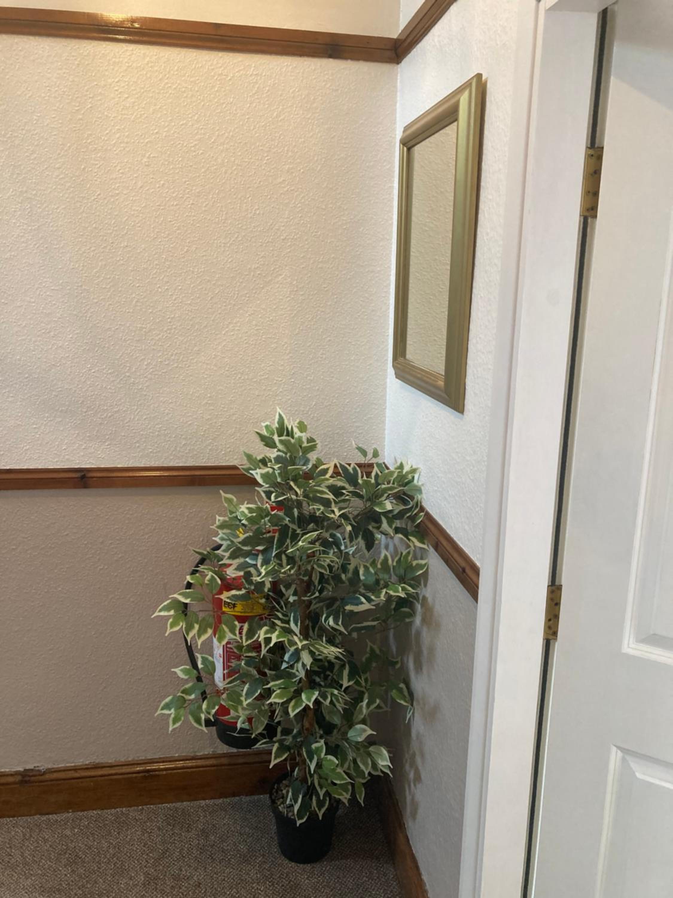 Ellies Guest House