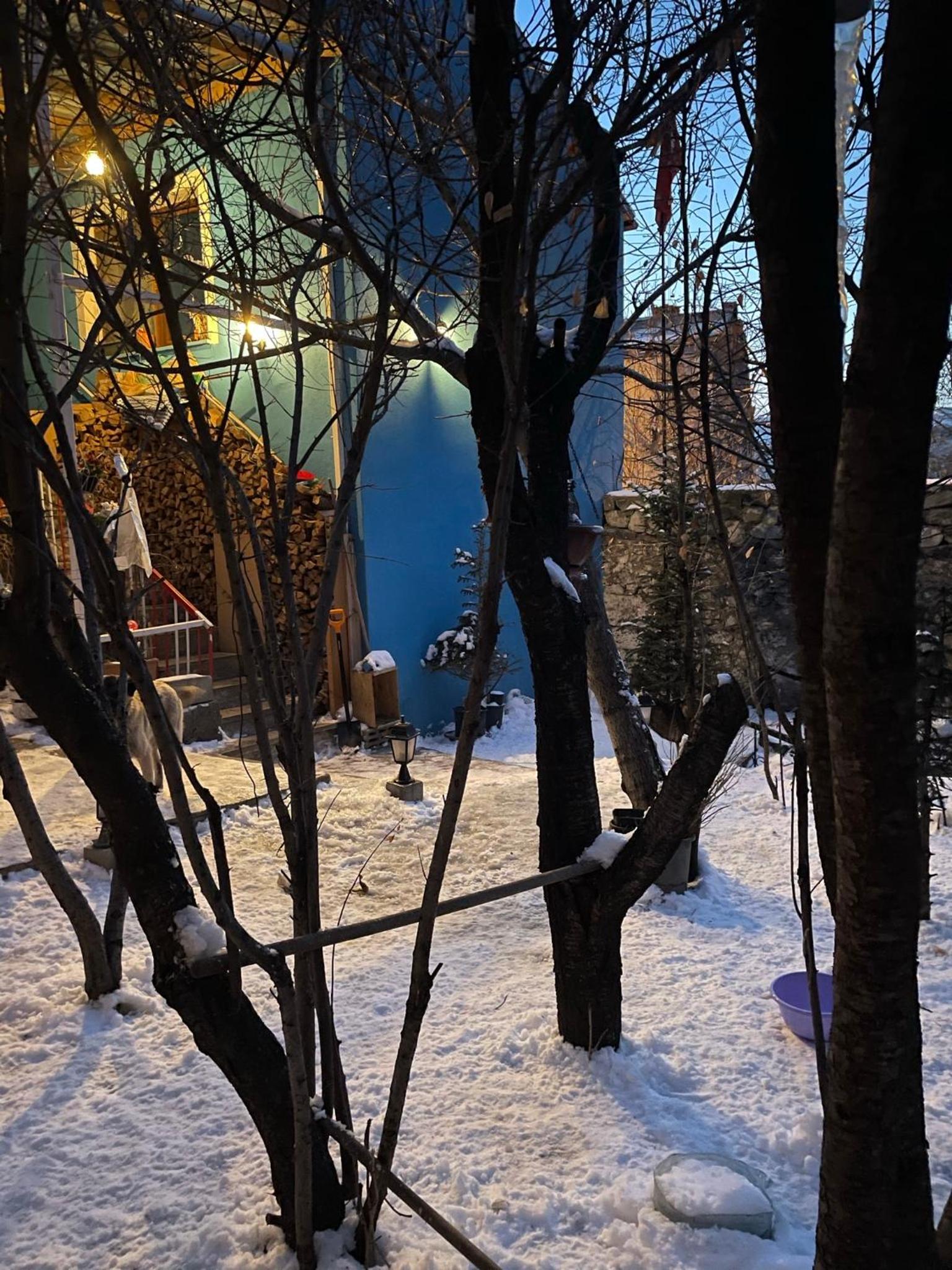 Photo 22