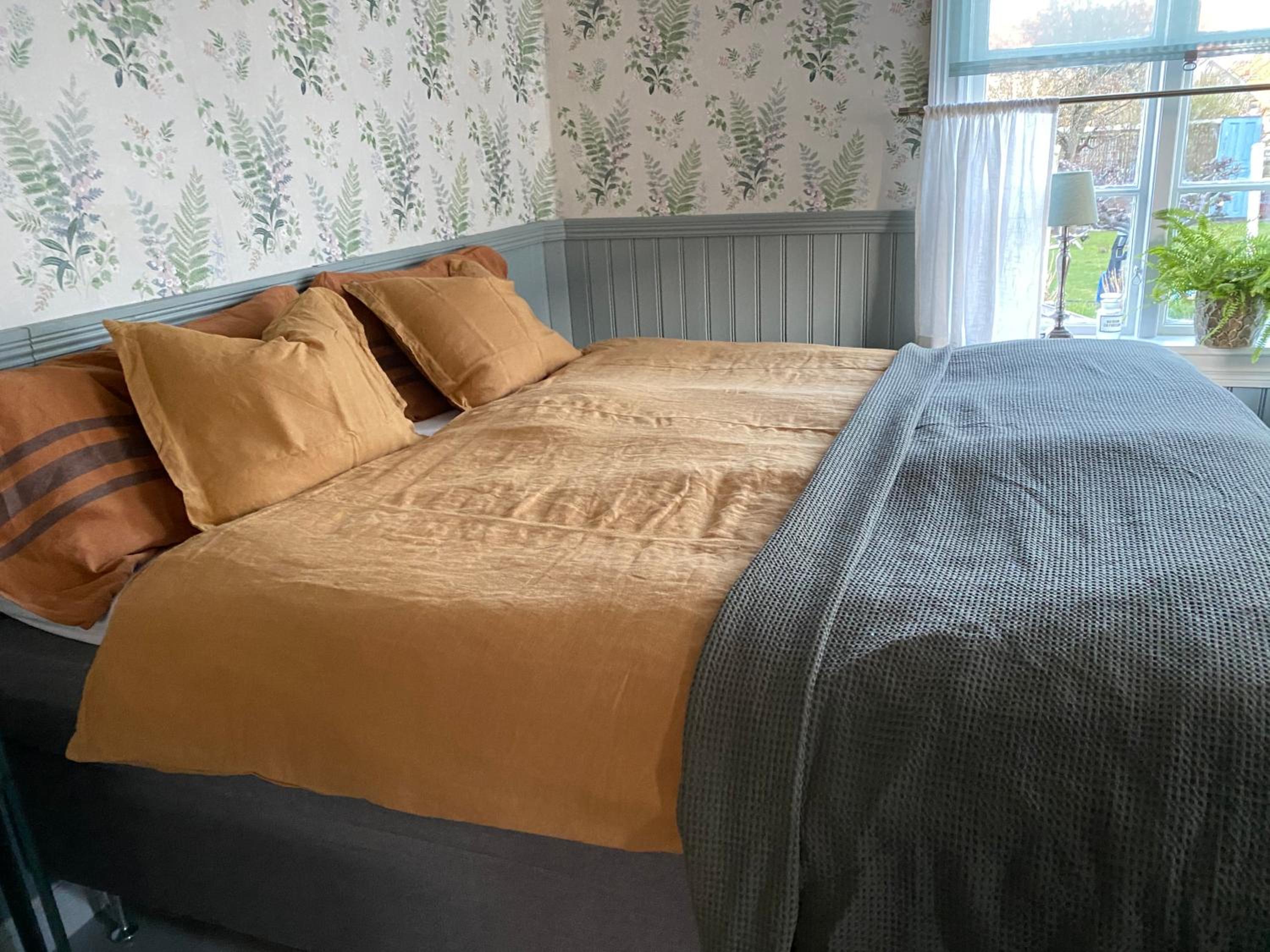 B&B Bland ormbunkar och rosor view 2