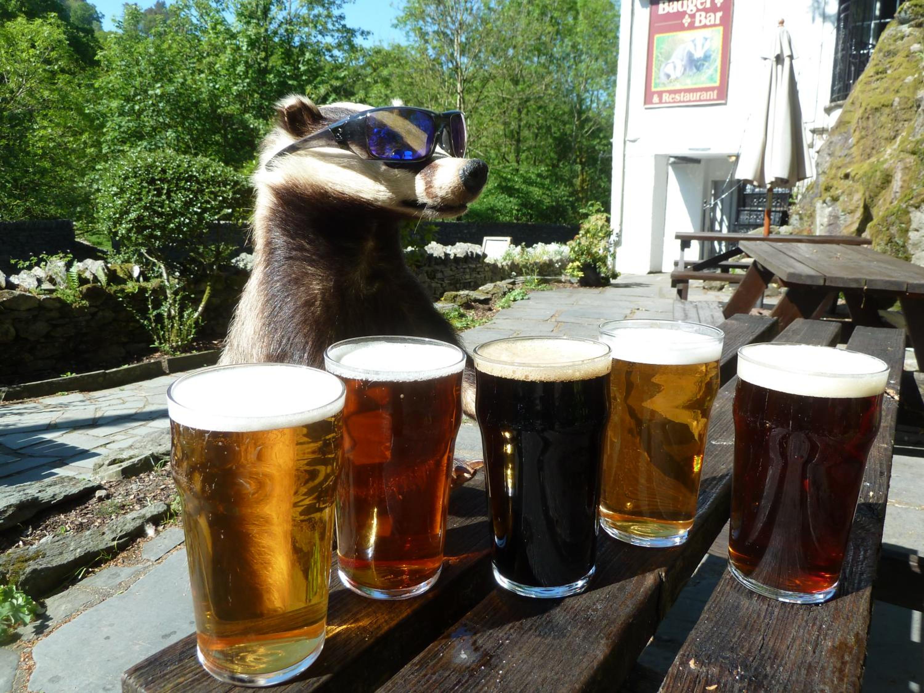 Badger Bar