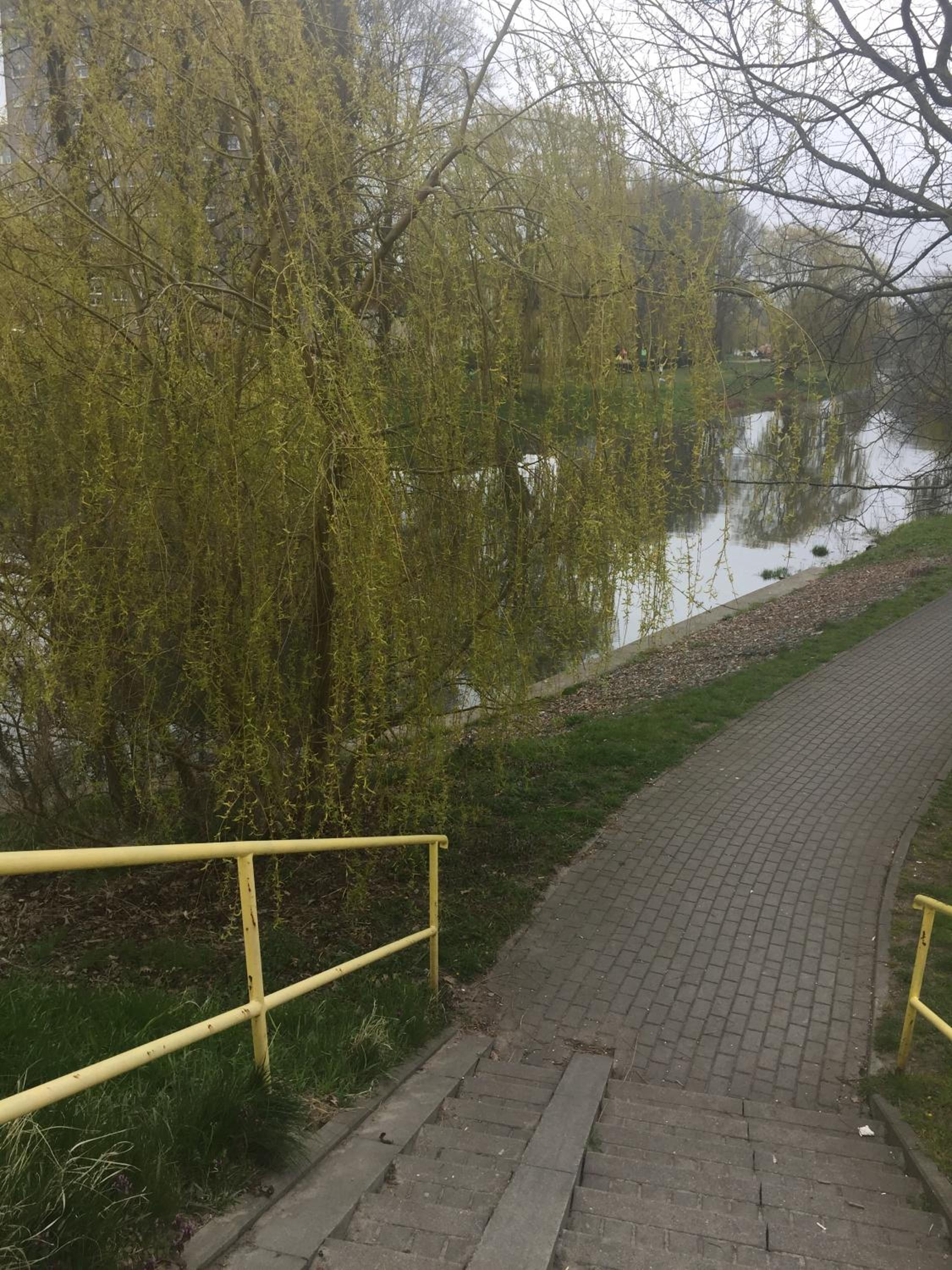 mieszkanko Kołobrzeg view 4