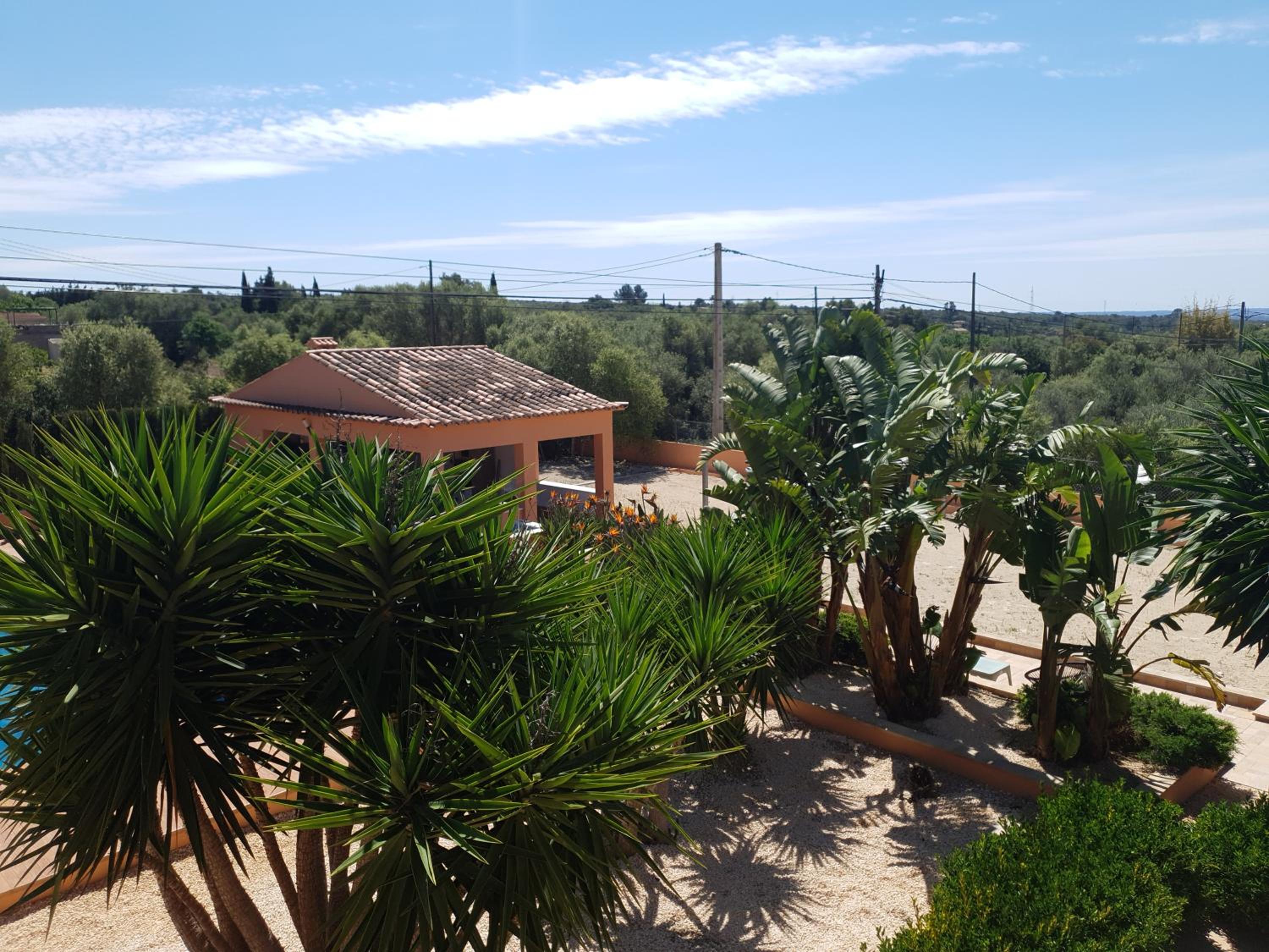Ca´n RoSer view 4