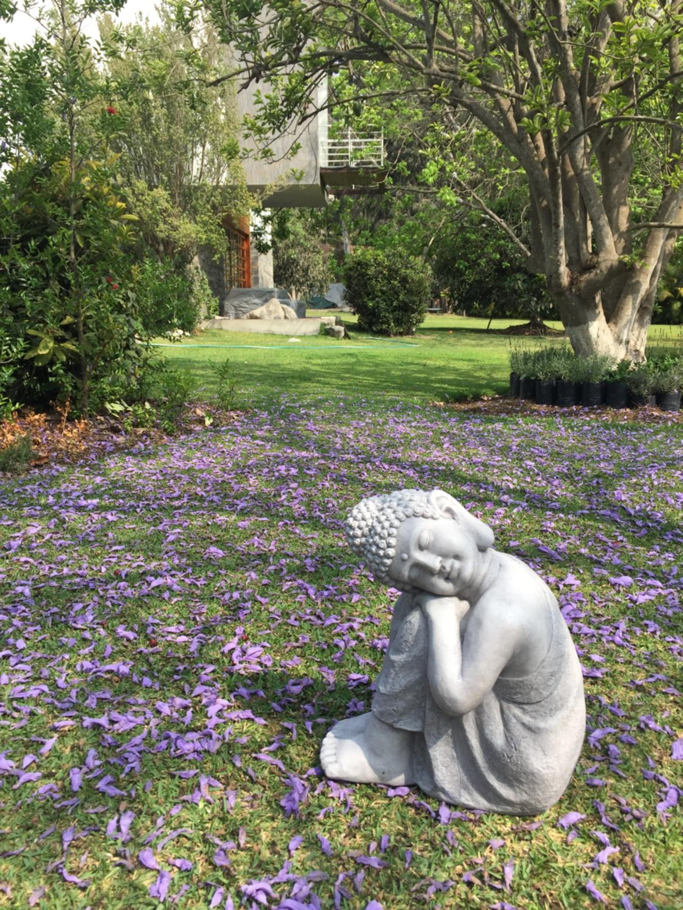 Zen Home & Garden House view 2