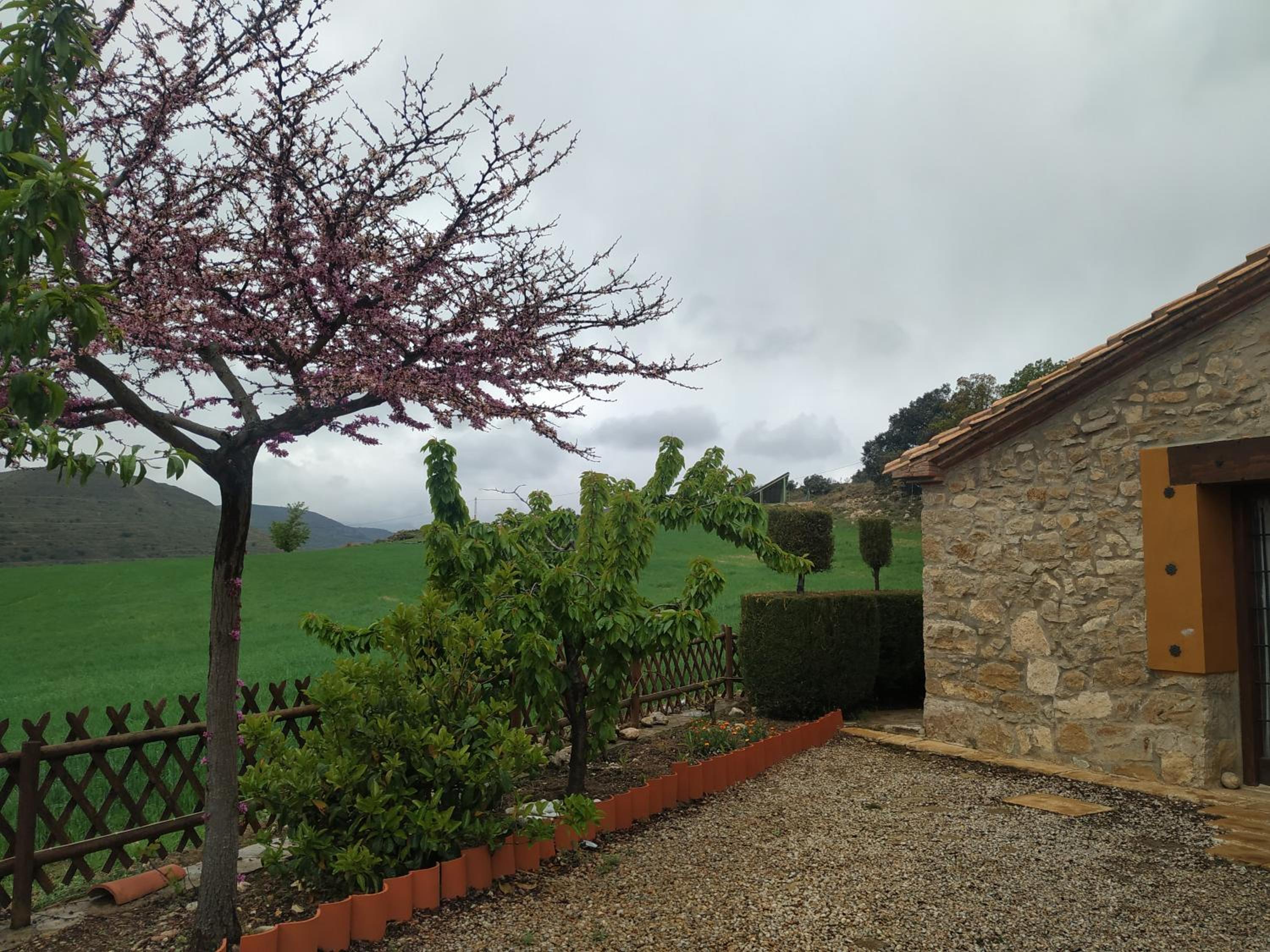La Casa Del Llano view 3