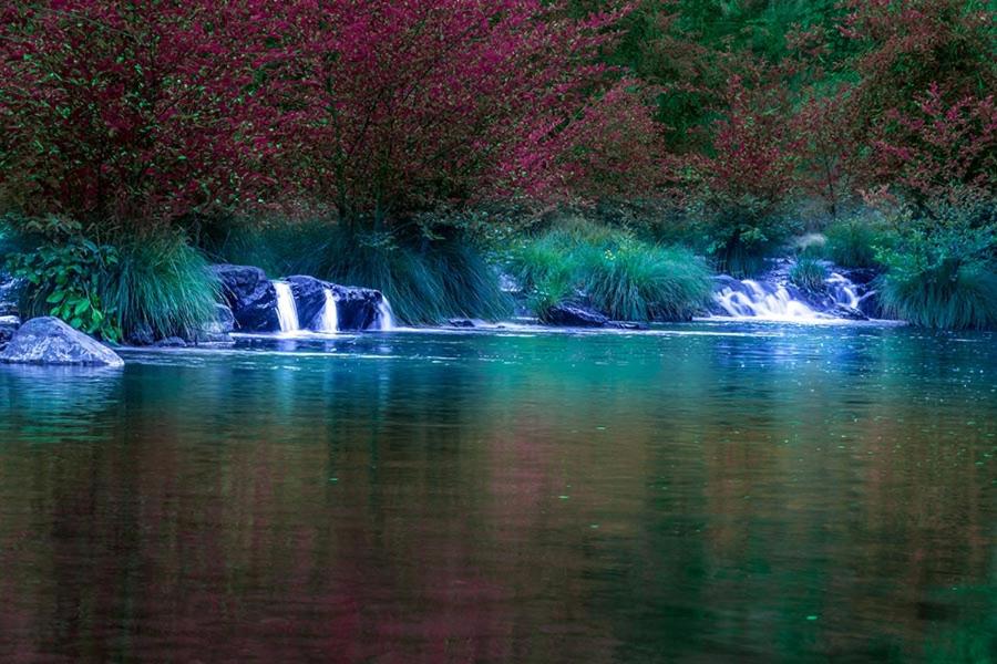 Maple Leaf Motel - Property Image 4