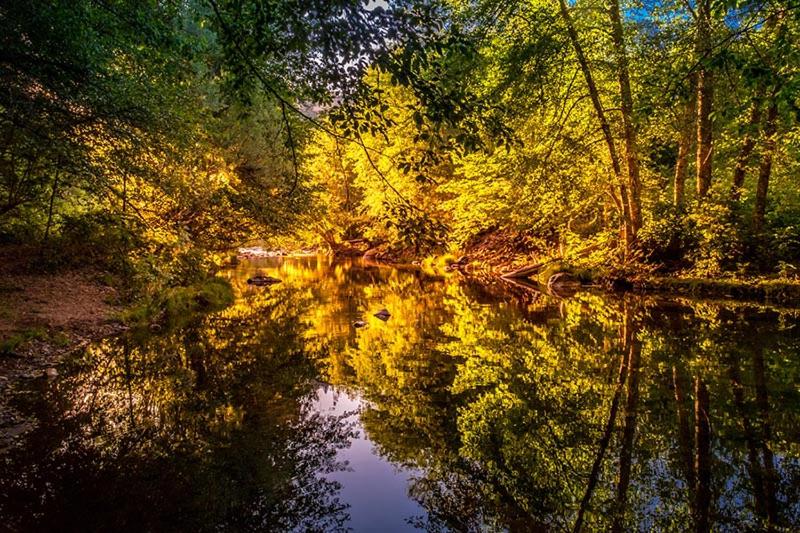 Maple Leaf Motel - Property Image 6