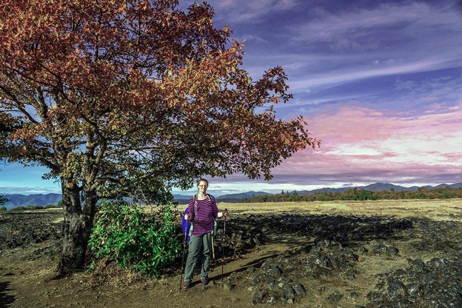 Maple Leaf Motel - Property Image 9