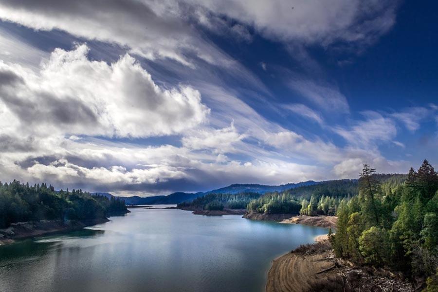 Maple Leaf Motel - Property Image 14