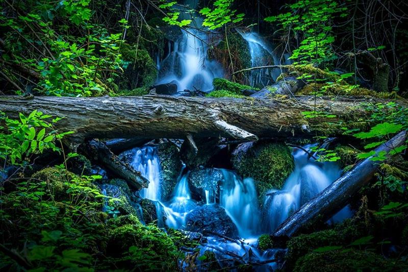 Maple Leaf Motel - Property Image 2