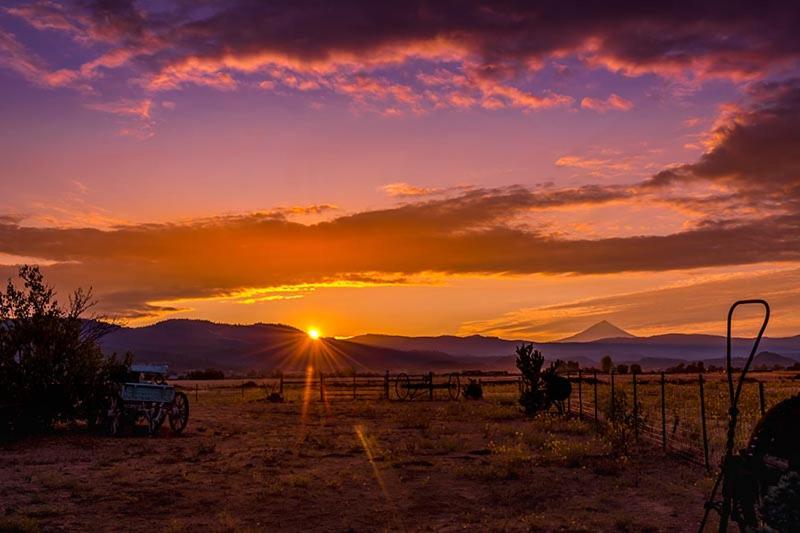 Maple Leaf Motel - Property Image 16