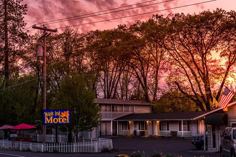 Maple Leaf Motel - Property Image 20
