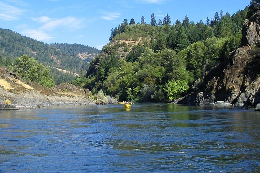 Maple Leaf Motel - Property Image 21