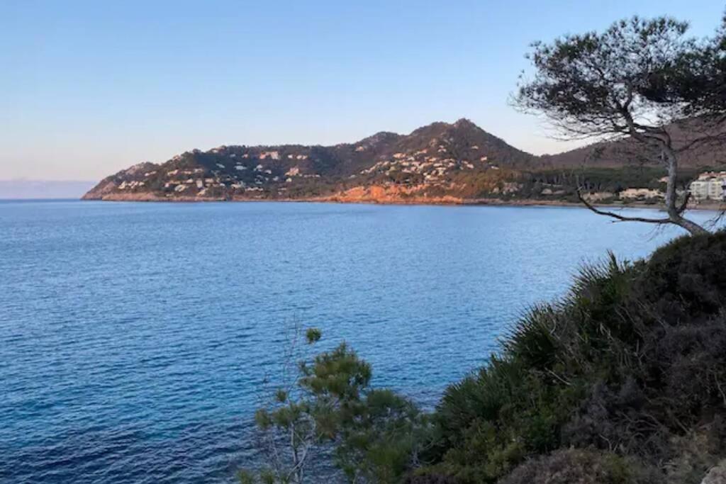 Sea view apartment 6E with pool in Cañamel beach view 4