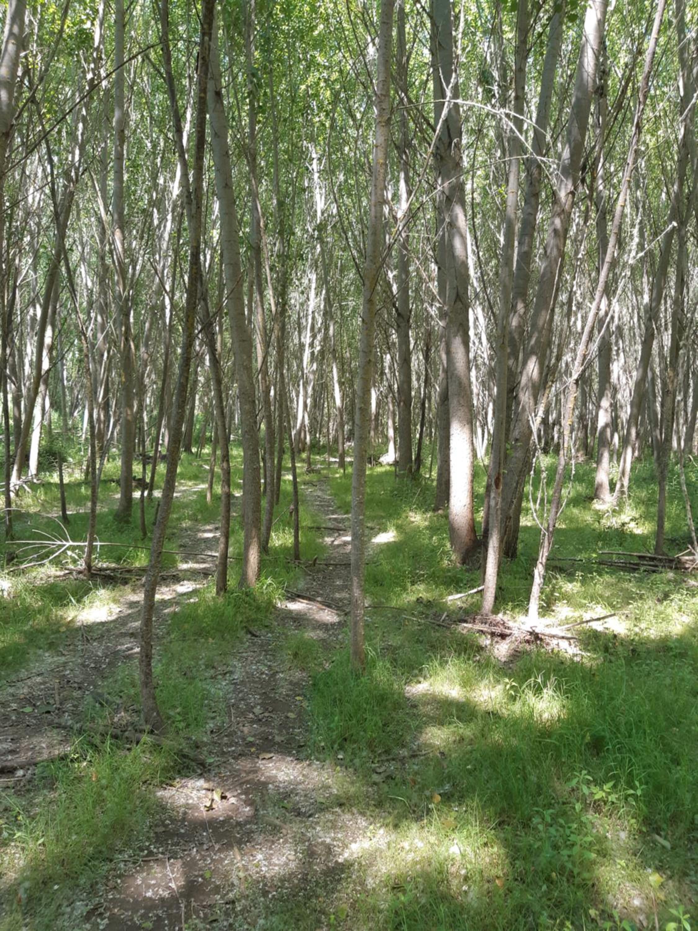 Photo 19