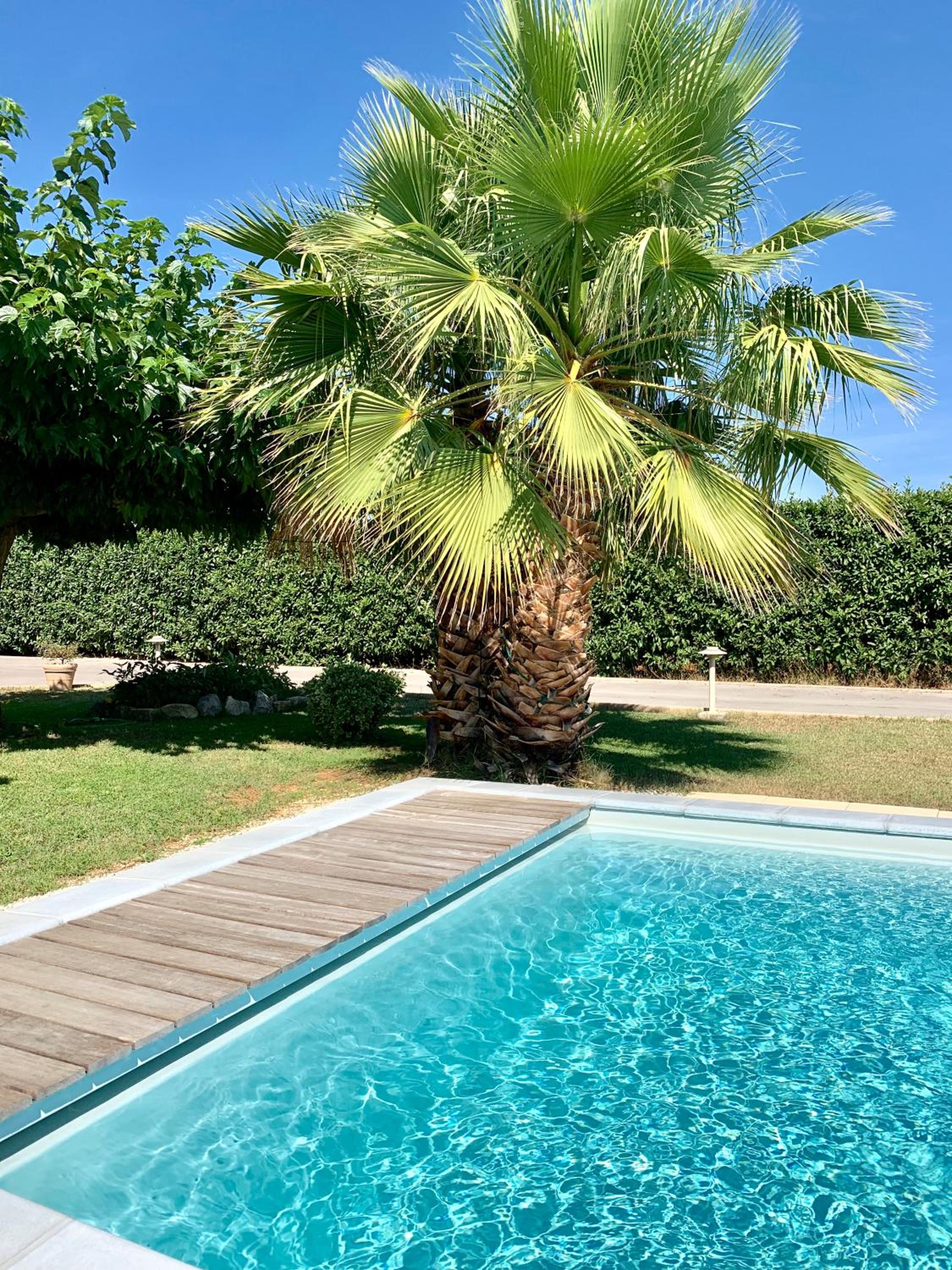 Atelier des Vidaux - Image 2