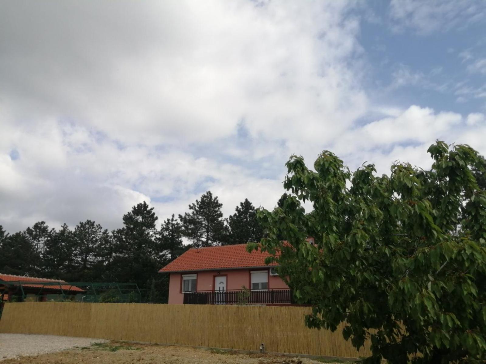 Photo 35