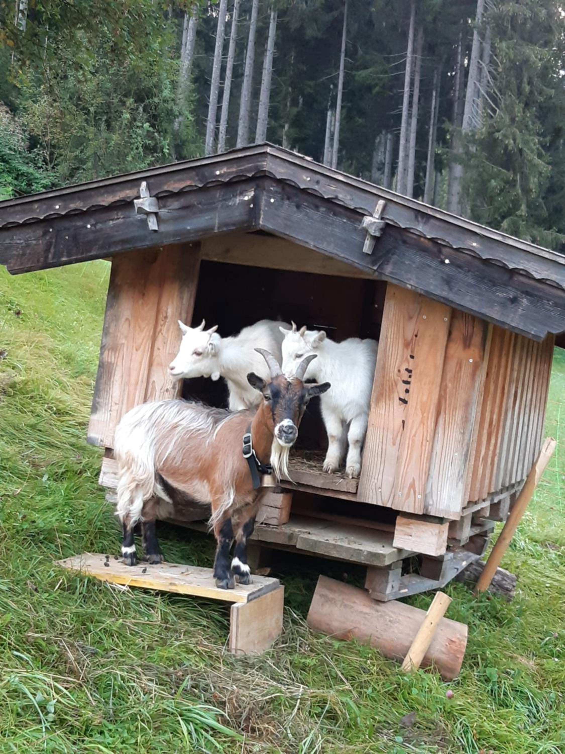 Schneiderhof
