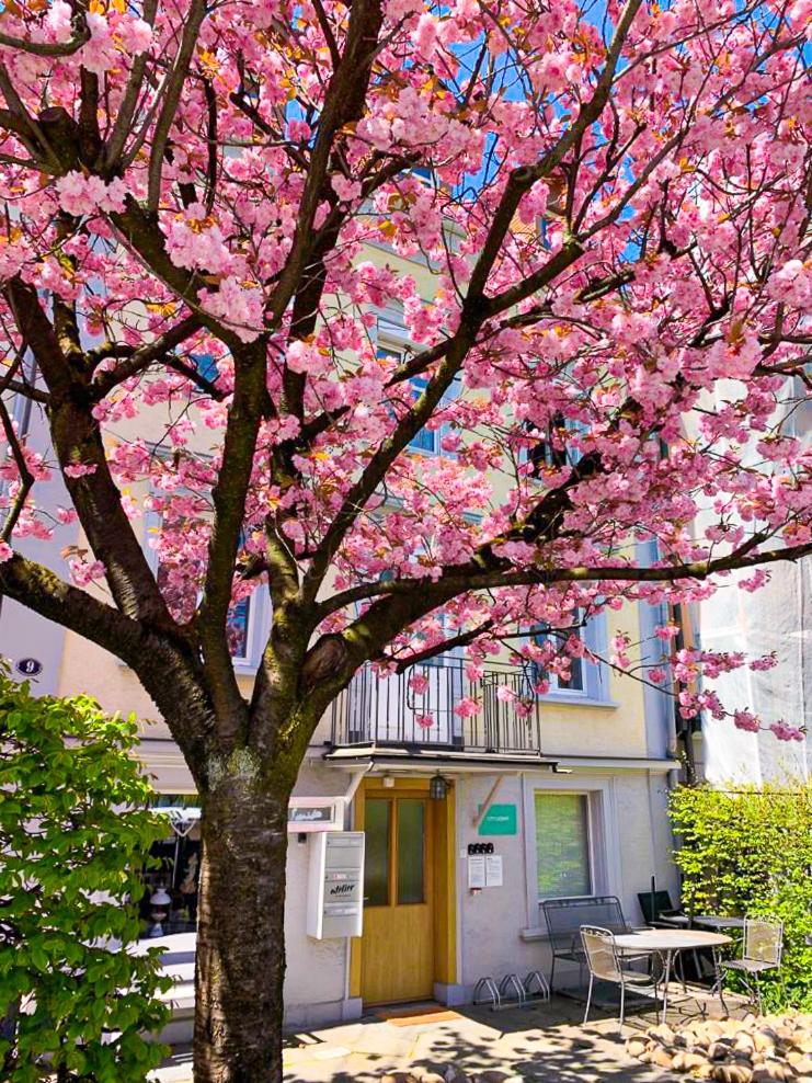 CityLodge St Gallen - 2 min to Marktplatz