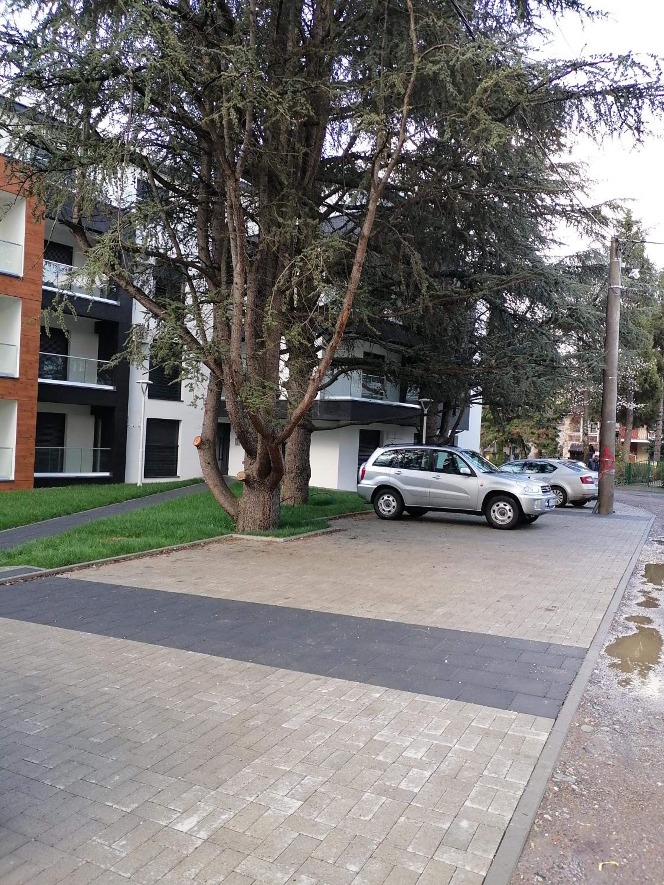 Ramonda Lux apartman view 2
