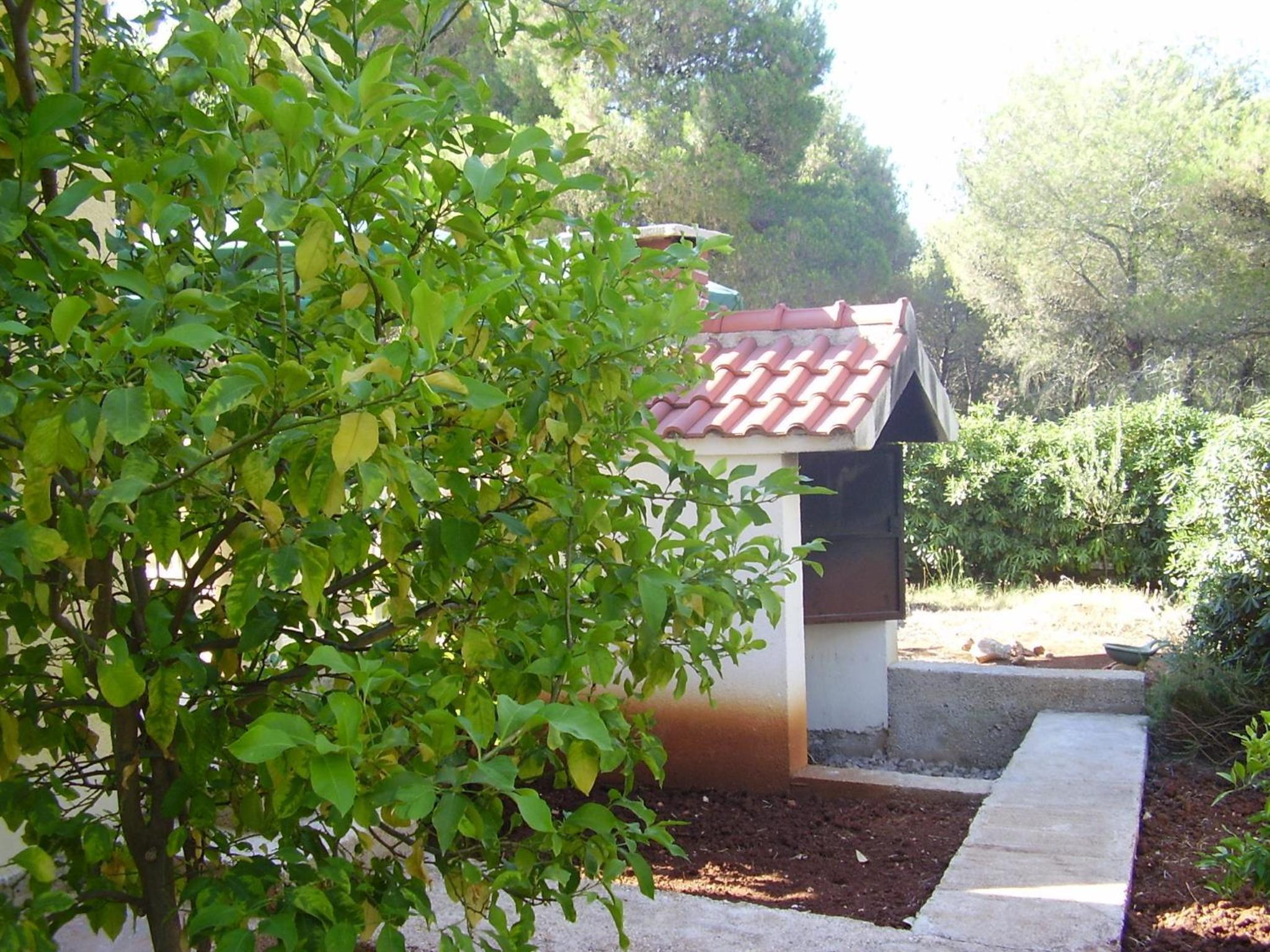 Photo 22
