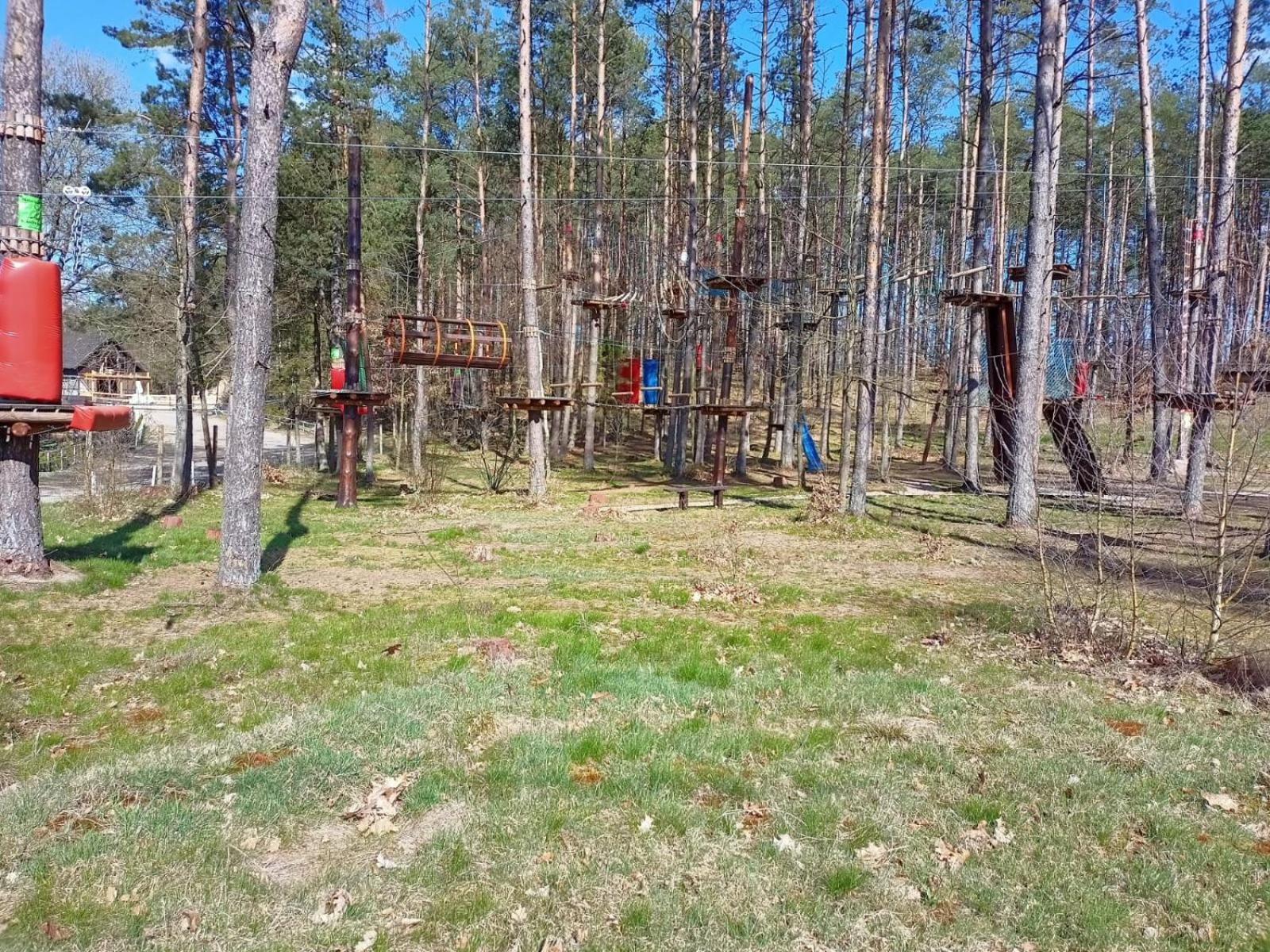 Photo 29