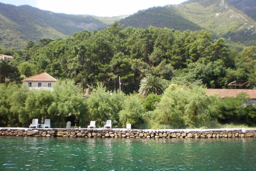 Apartment Pinebreeze - Prčanj - Kotor view 4