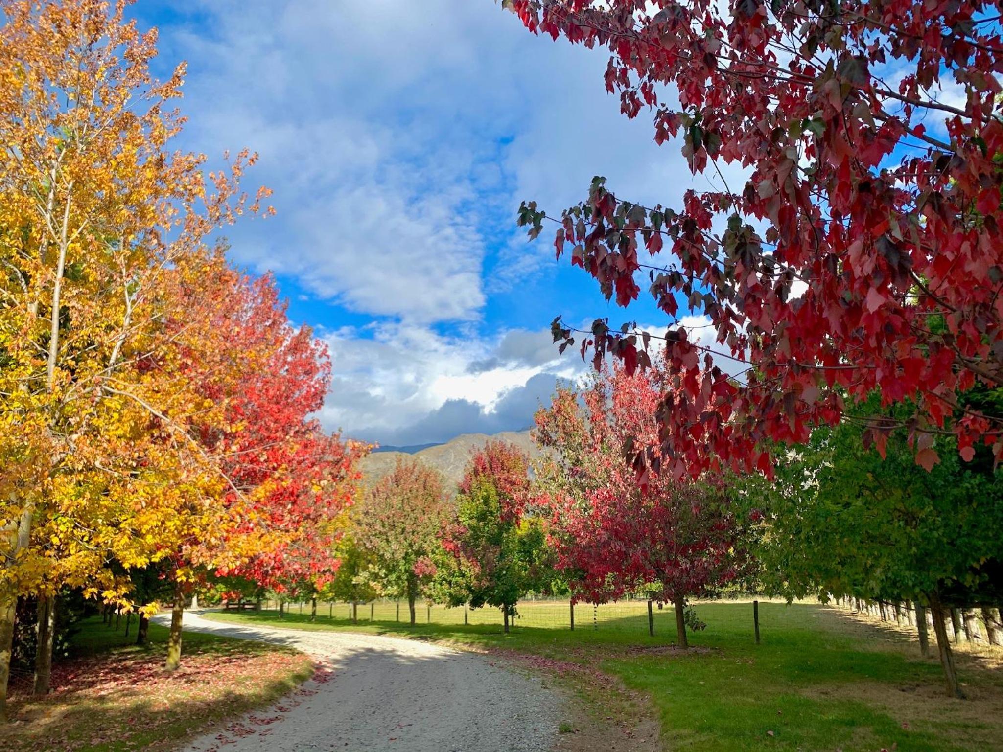 Queenstown Country Lodge view 2