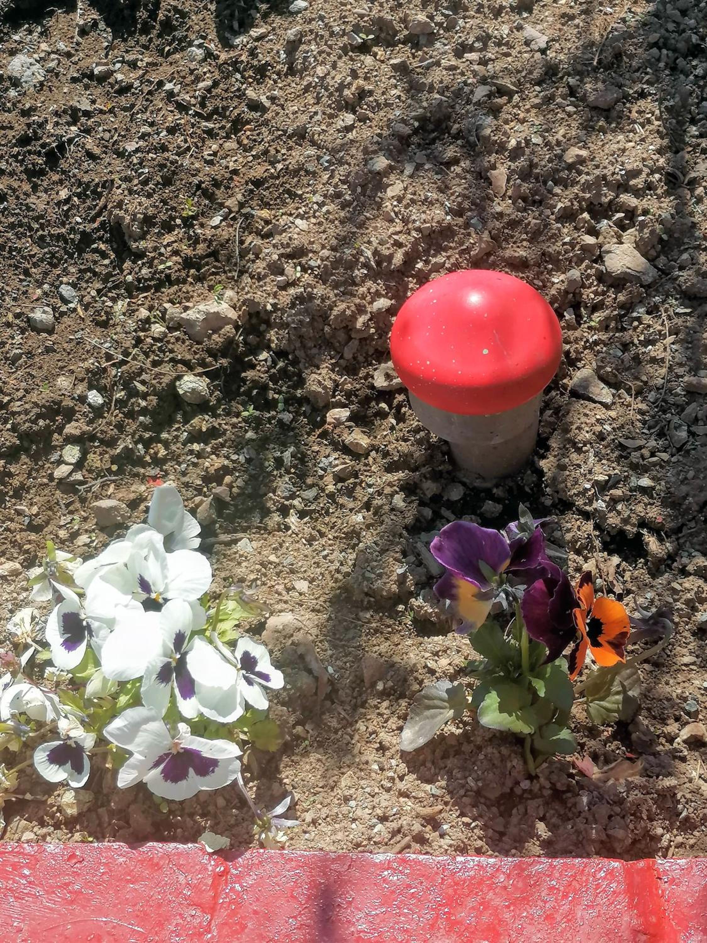 Photo 47