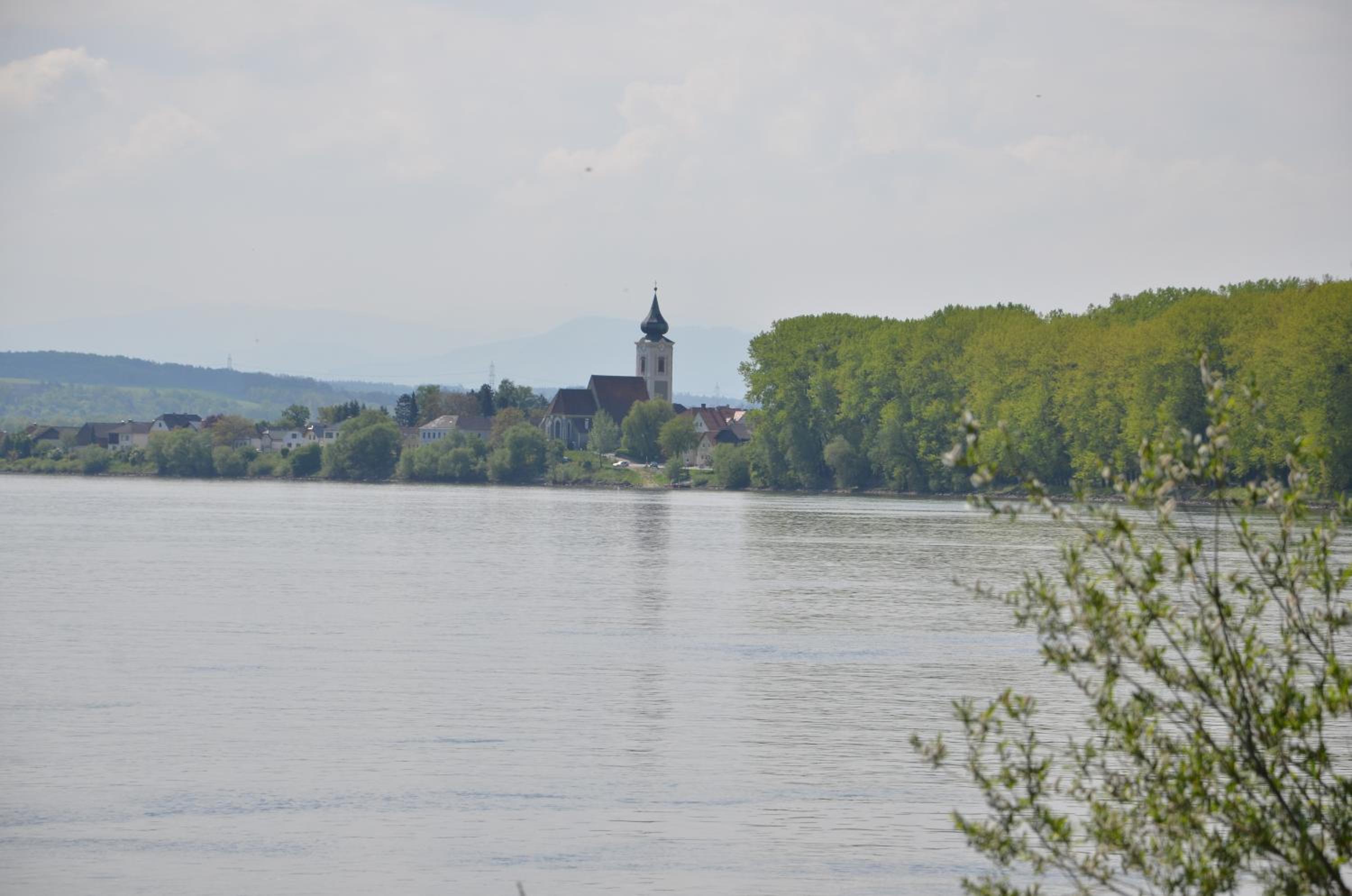 Fischwirtshaus Landmotel Die Donaurast view 4