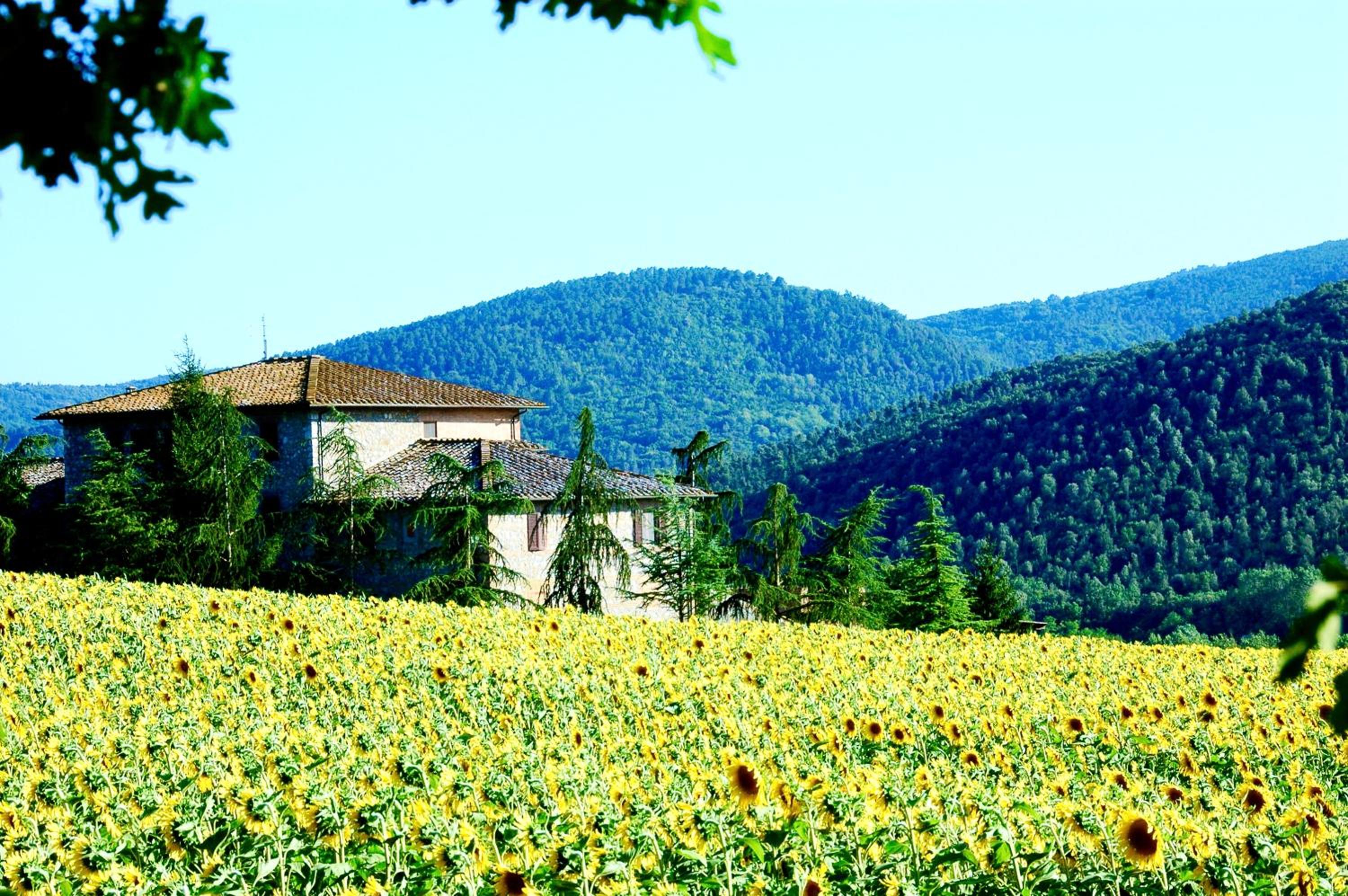 Agriturismo Montioni view 2