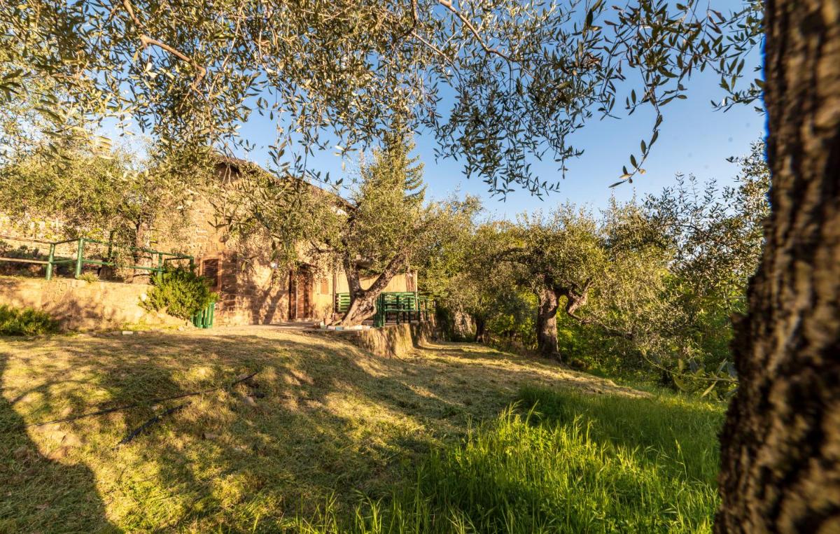 Casetta Maduneta immersa in un oliveto photo 2