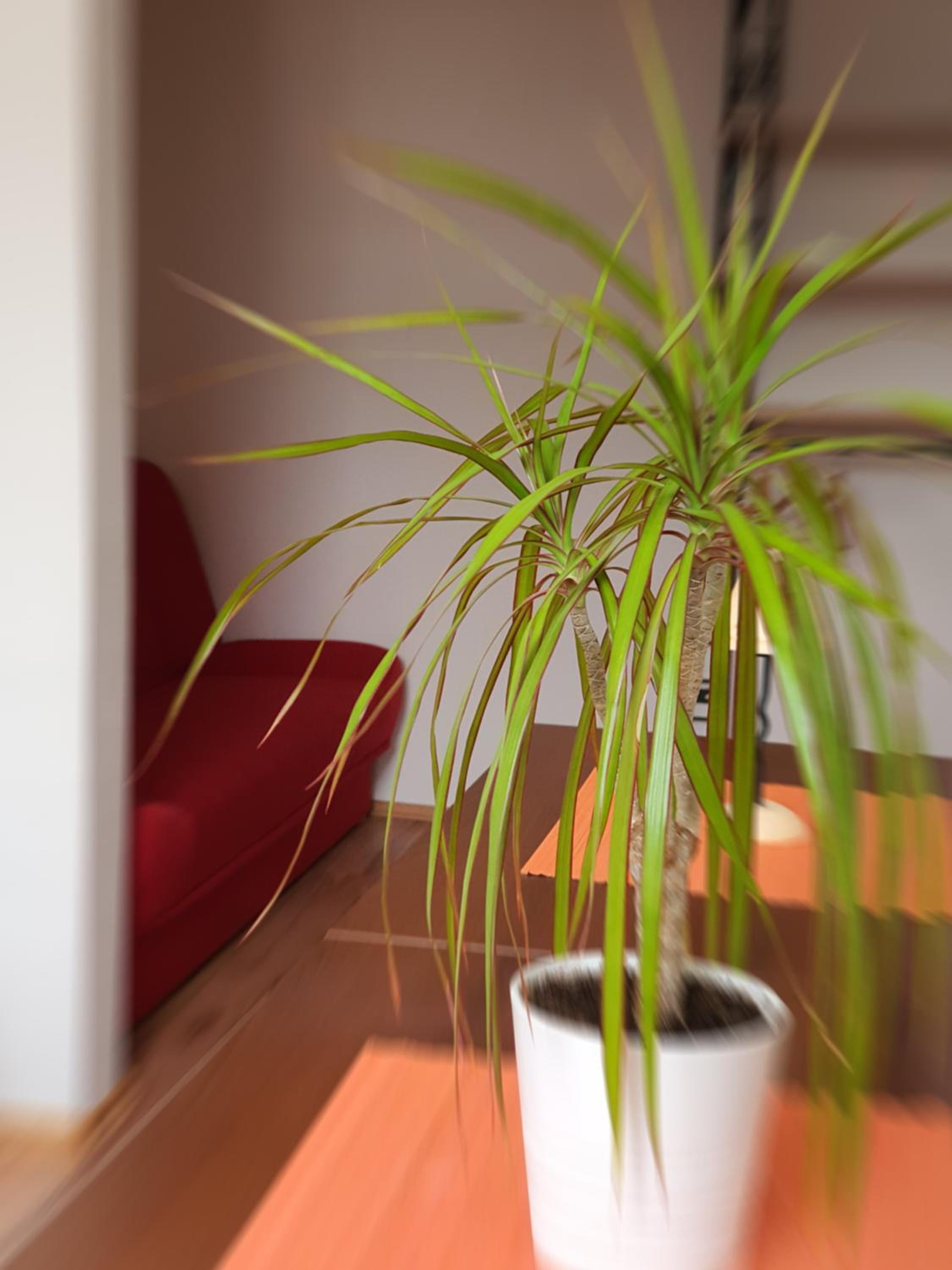 Apartmá na Hané