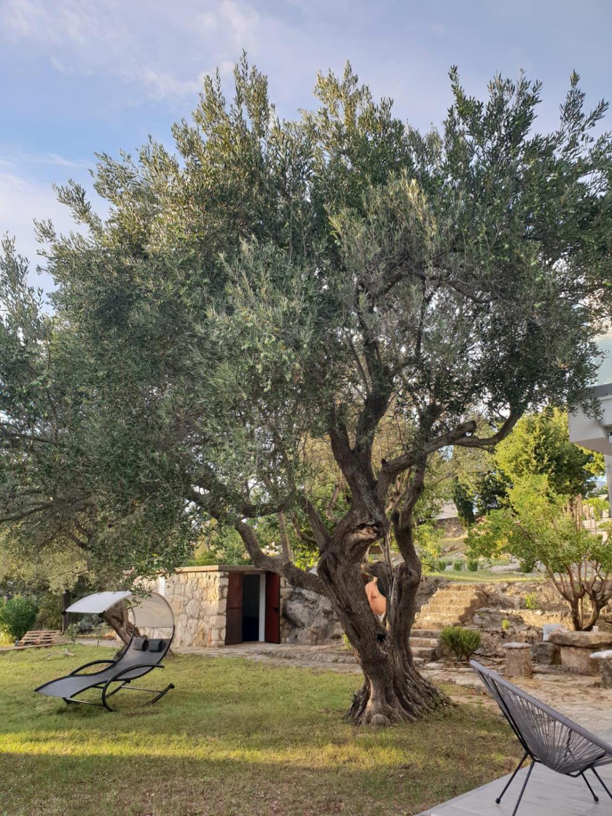 Beautiful house/villa Arboretum view 5