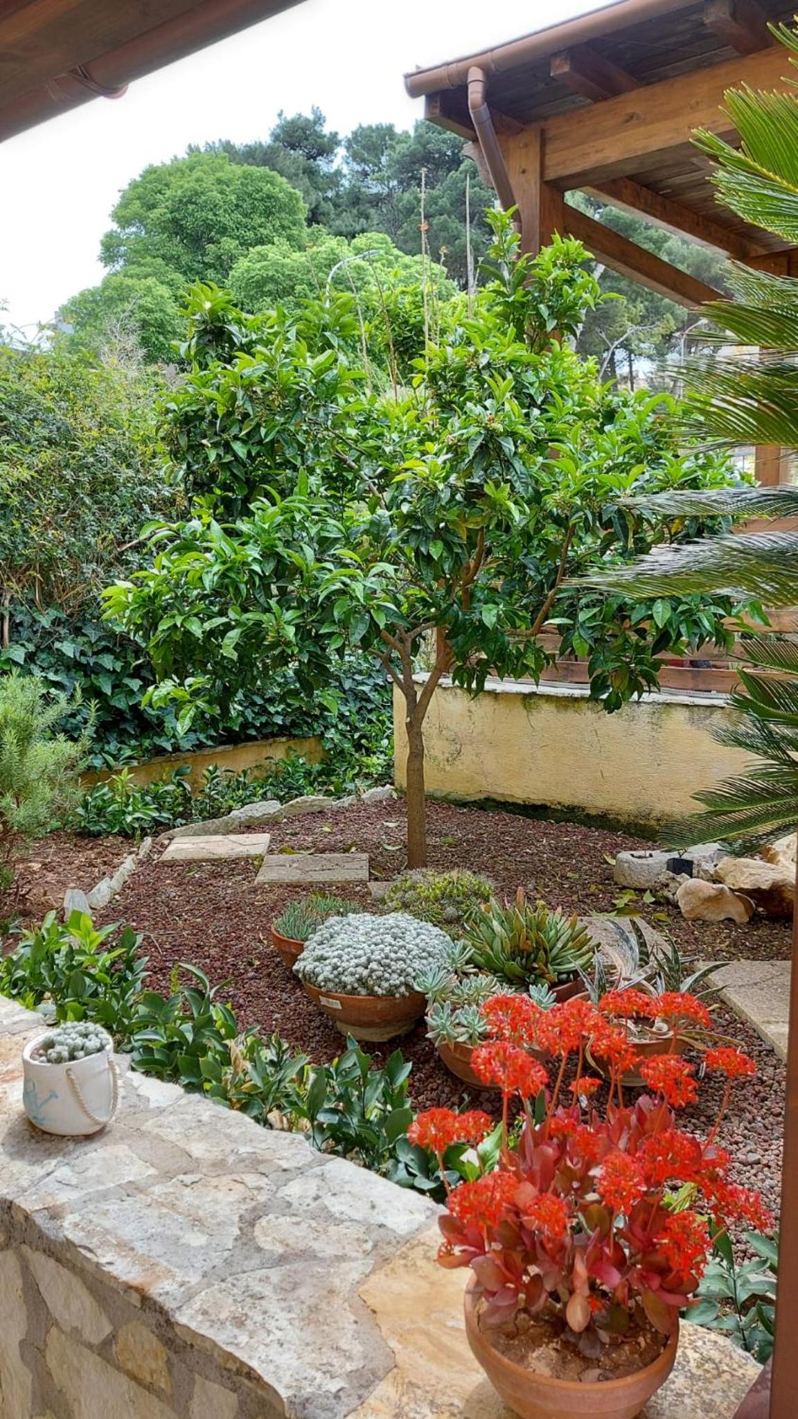 B&B Verdeblu photo 3