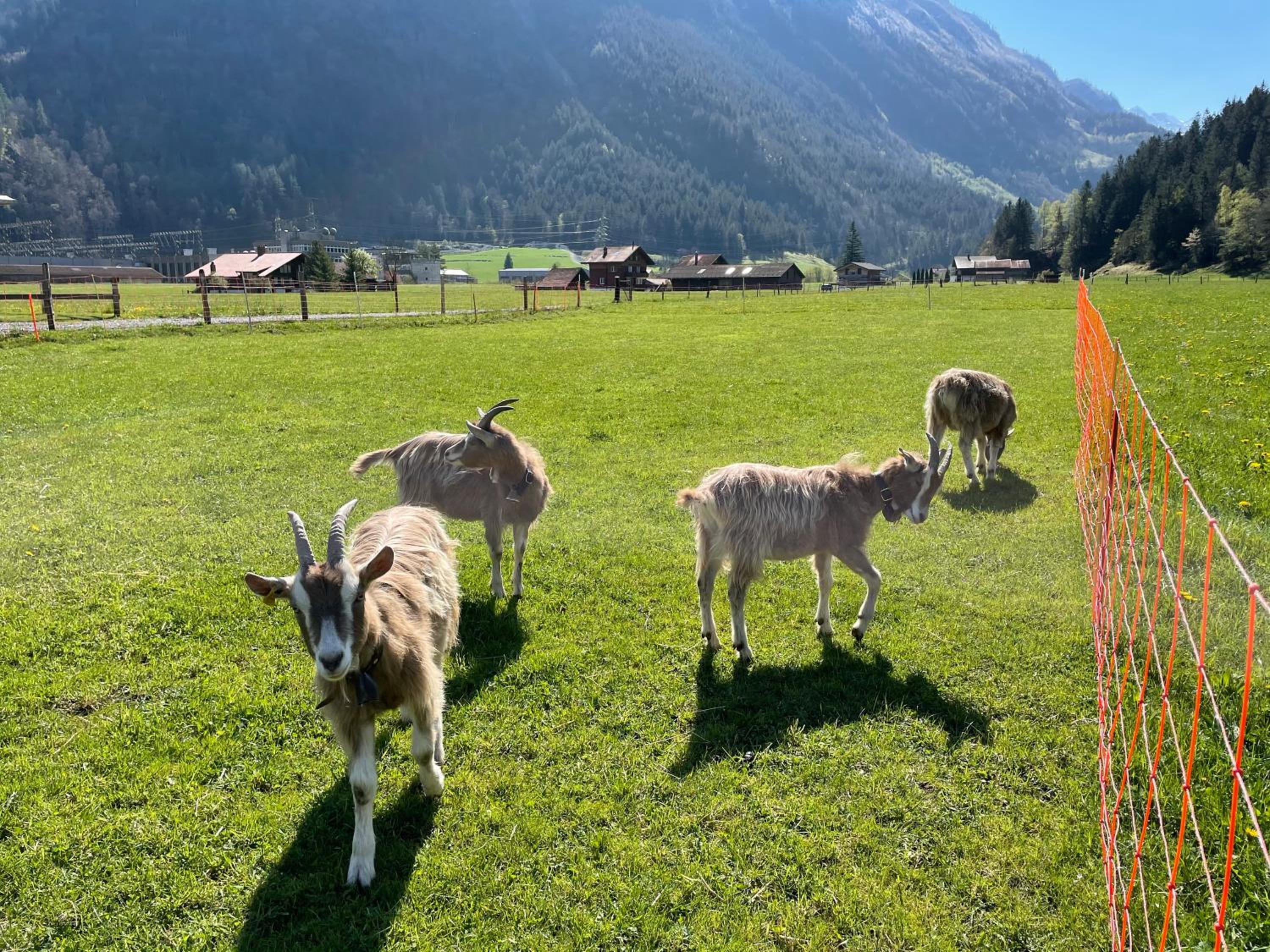 Schlafen im Fass - Schlaffass - Abenteuer - Romantik - Haslifass