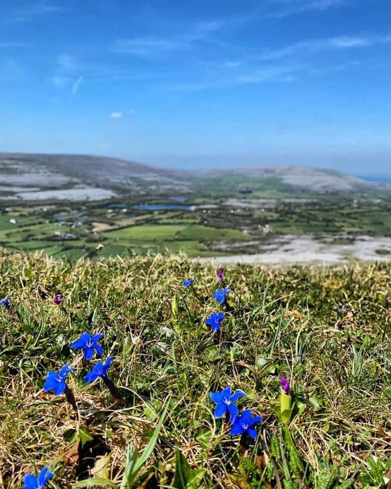 Burren Rock Farmhouse B&B